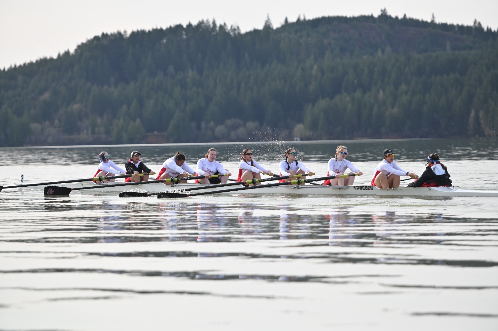 Varsity 8