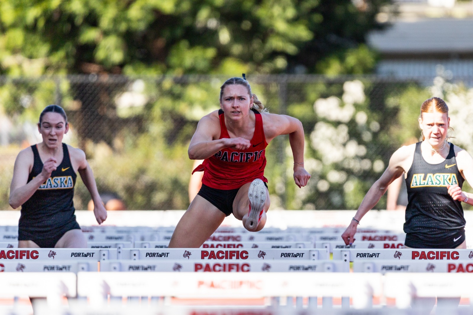 Ally Hammond Hurdles