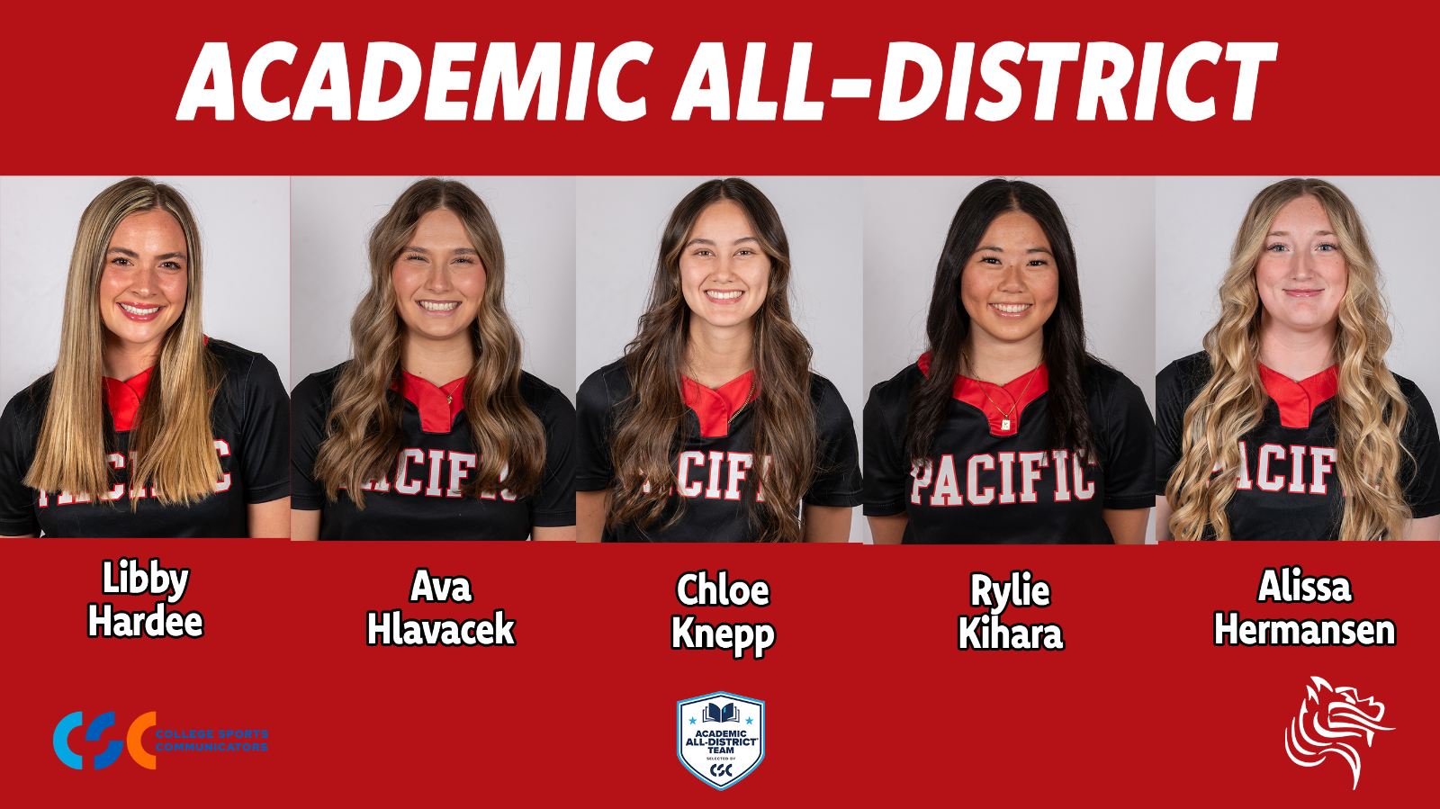 academic all-district softball