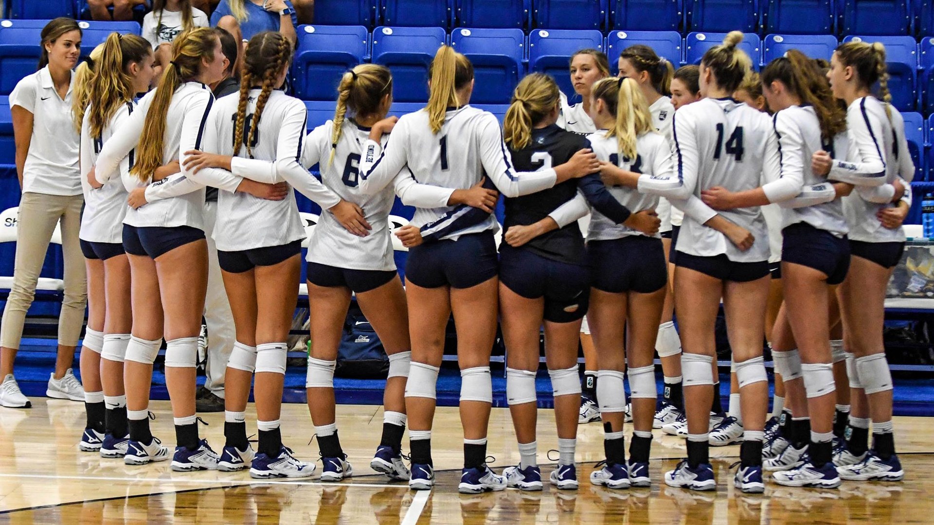 PBA Volleyball Splits Second Day of Shark Invitational Palm Beach