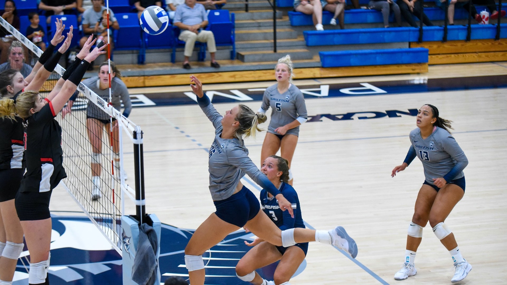 Abbie Zylstra Women's Volleyball Palm Beach Atlantic University