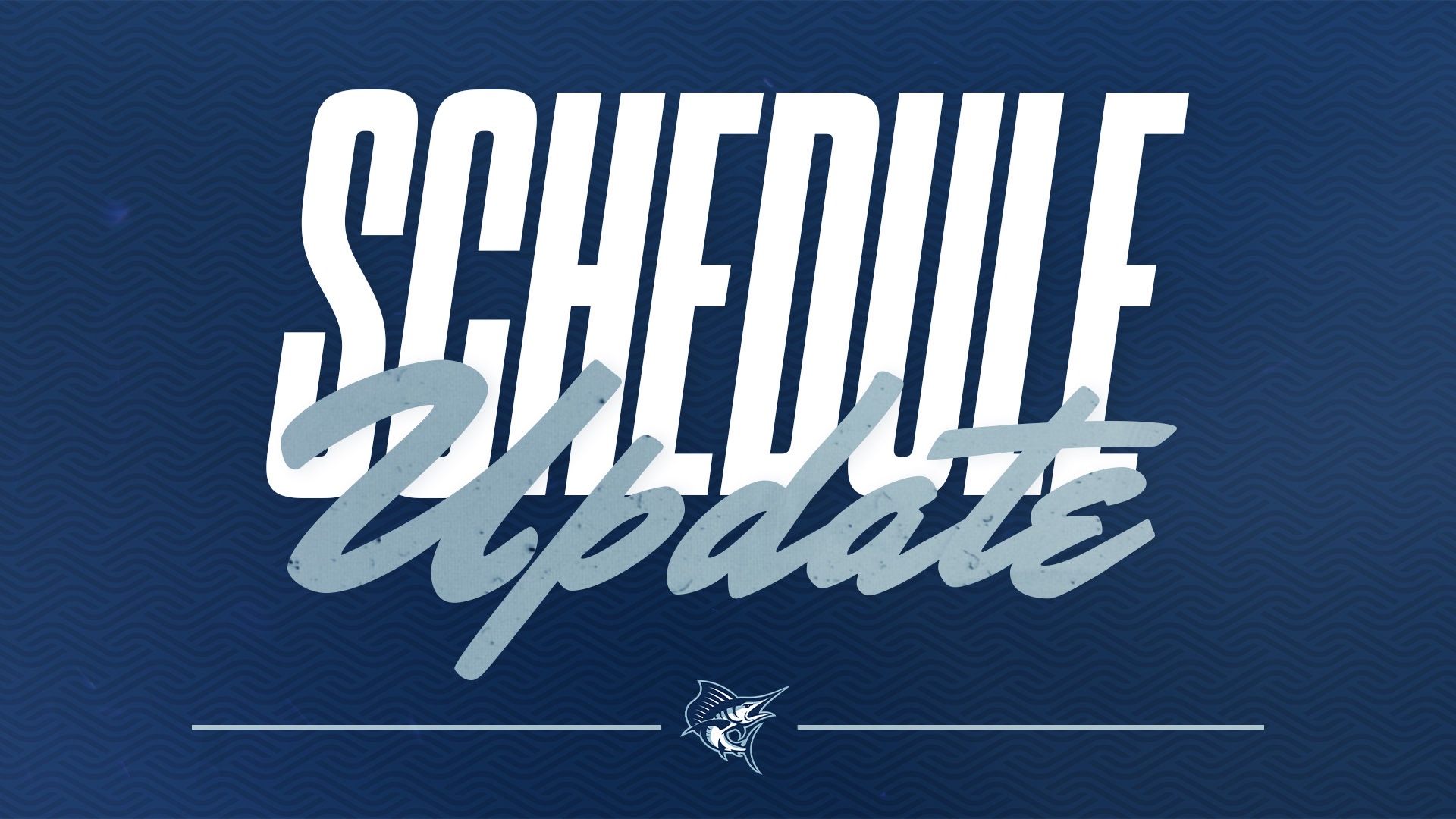 Schedule Update New