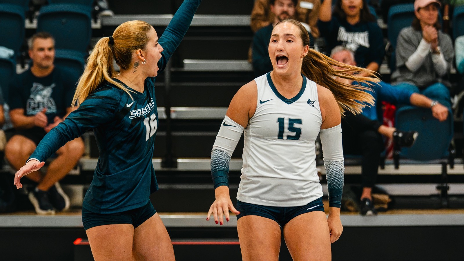 Lauren Venenga Celebration