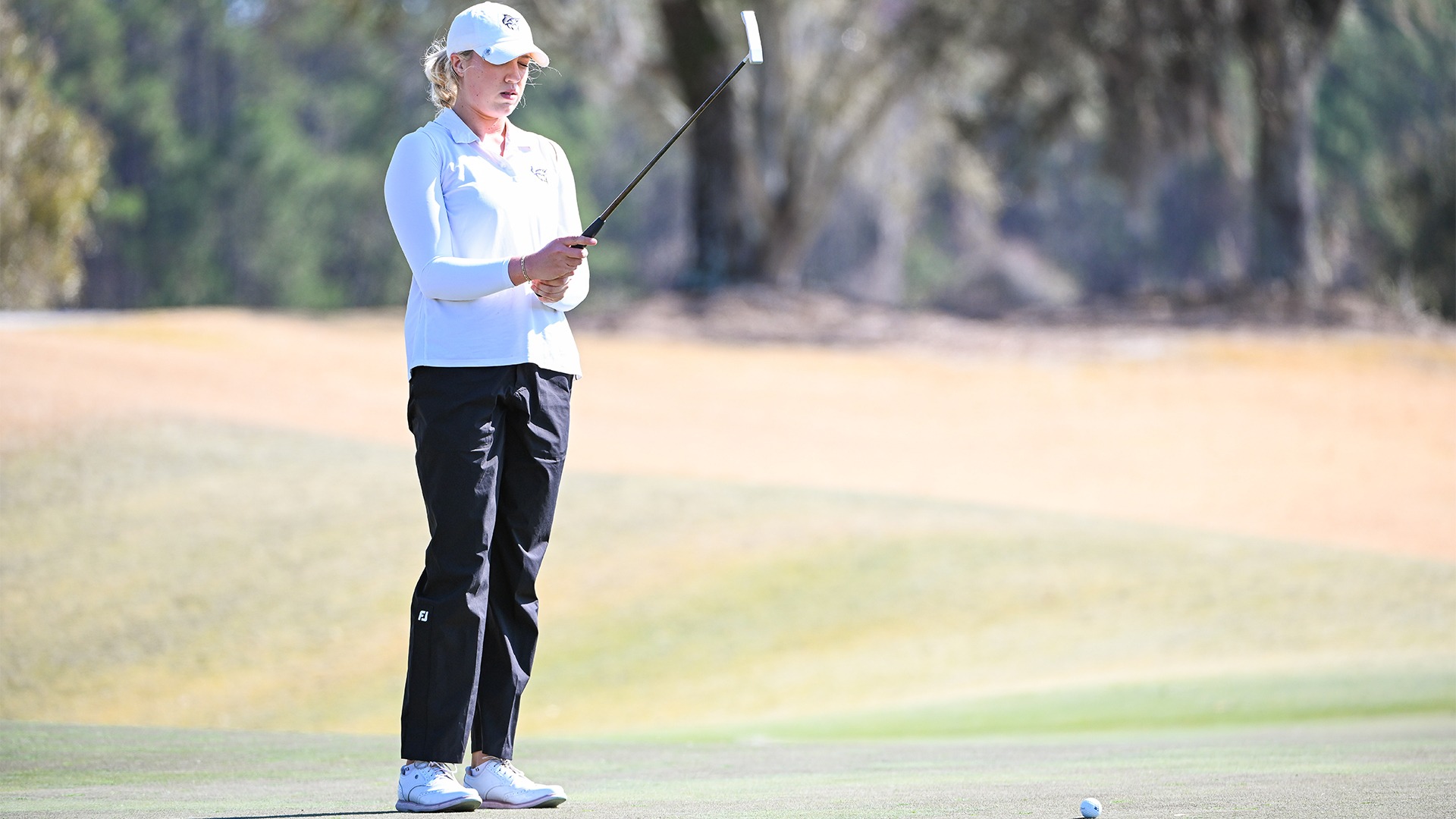 Celia Schrecker Web 2/24