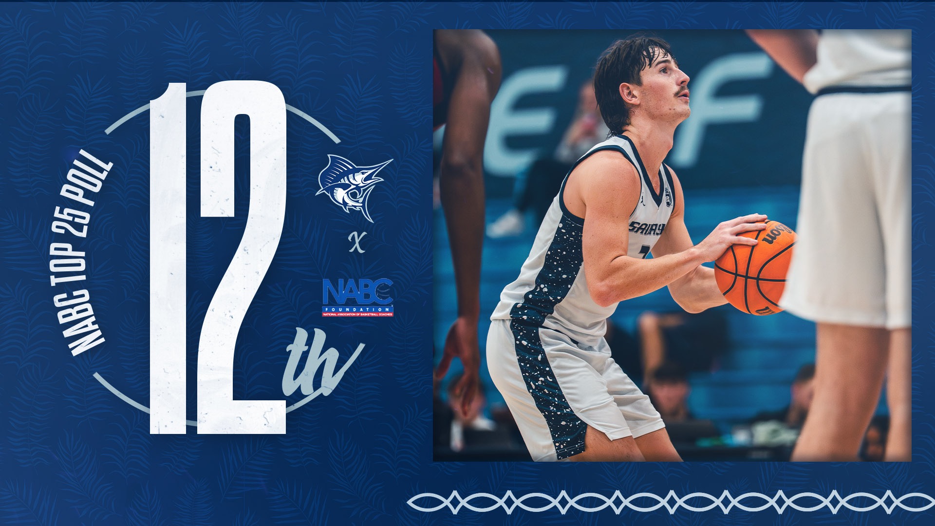 Preston Le Gassick Web Ranking Graphic 2026 Feb. 3