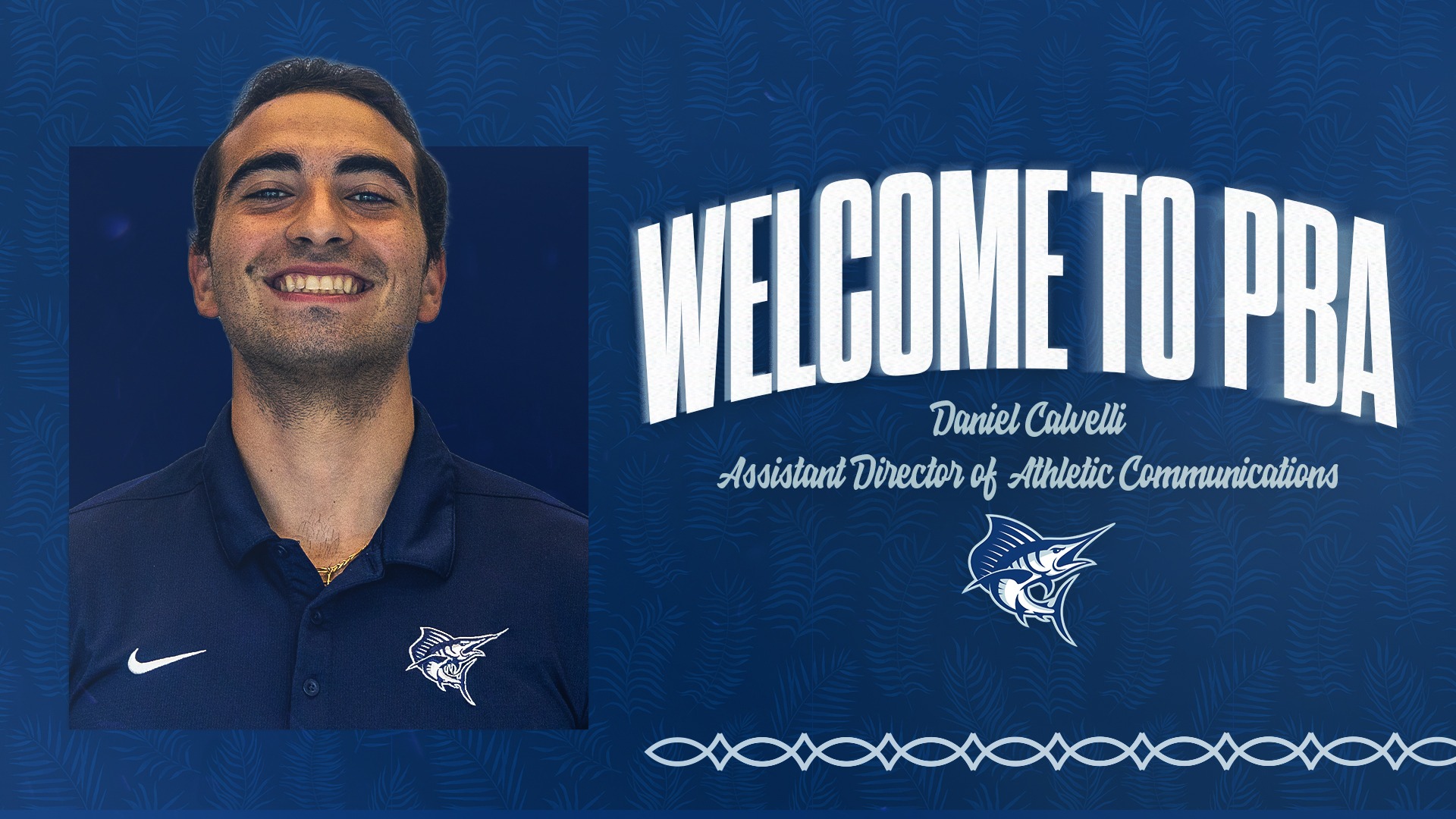 Dan Calvelli Press Release