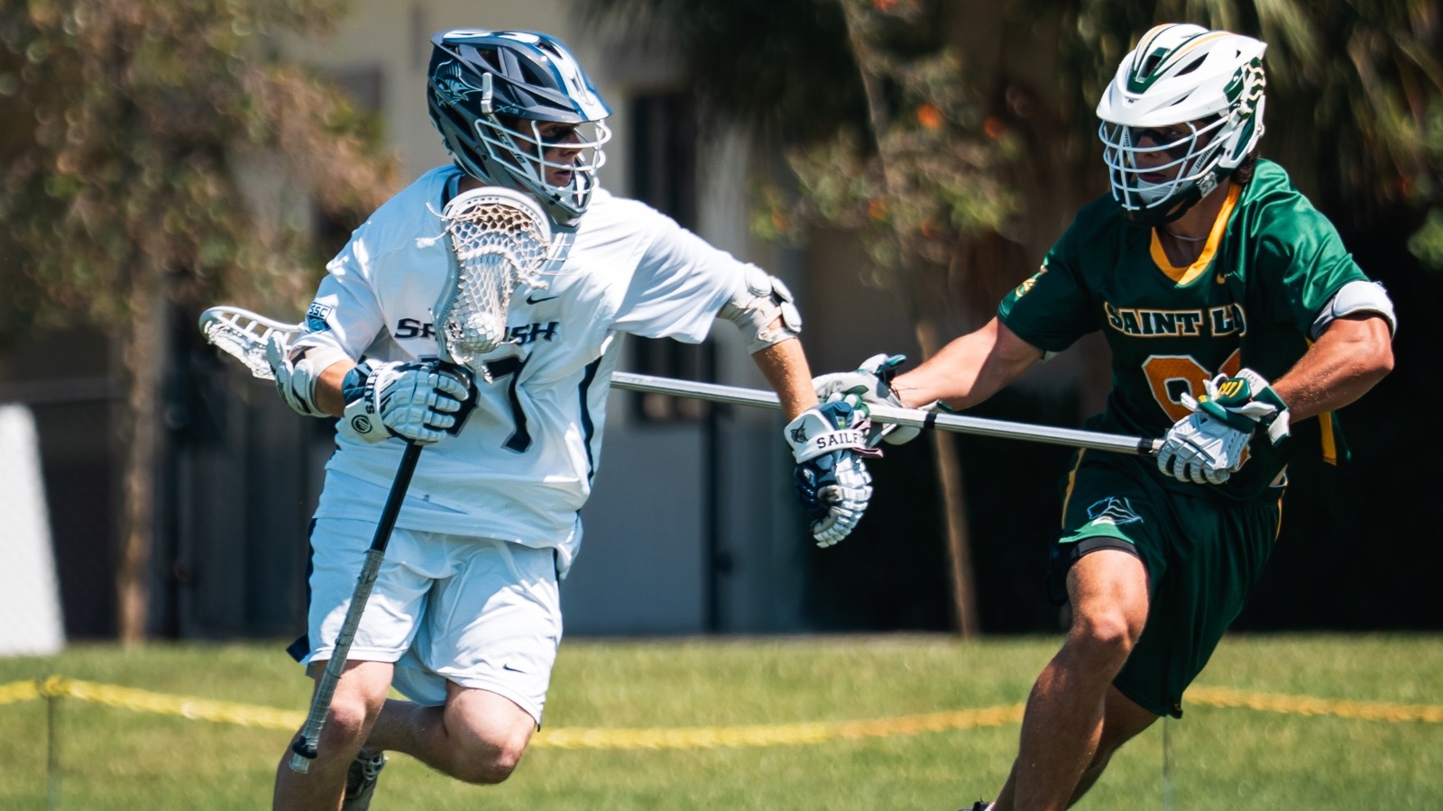 MLax-st.leo