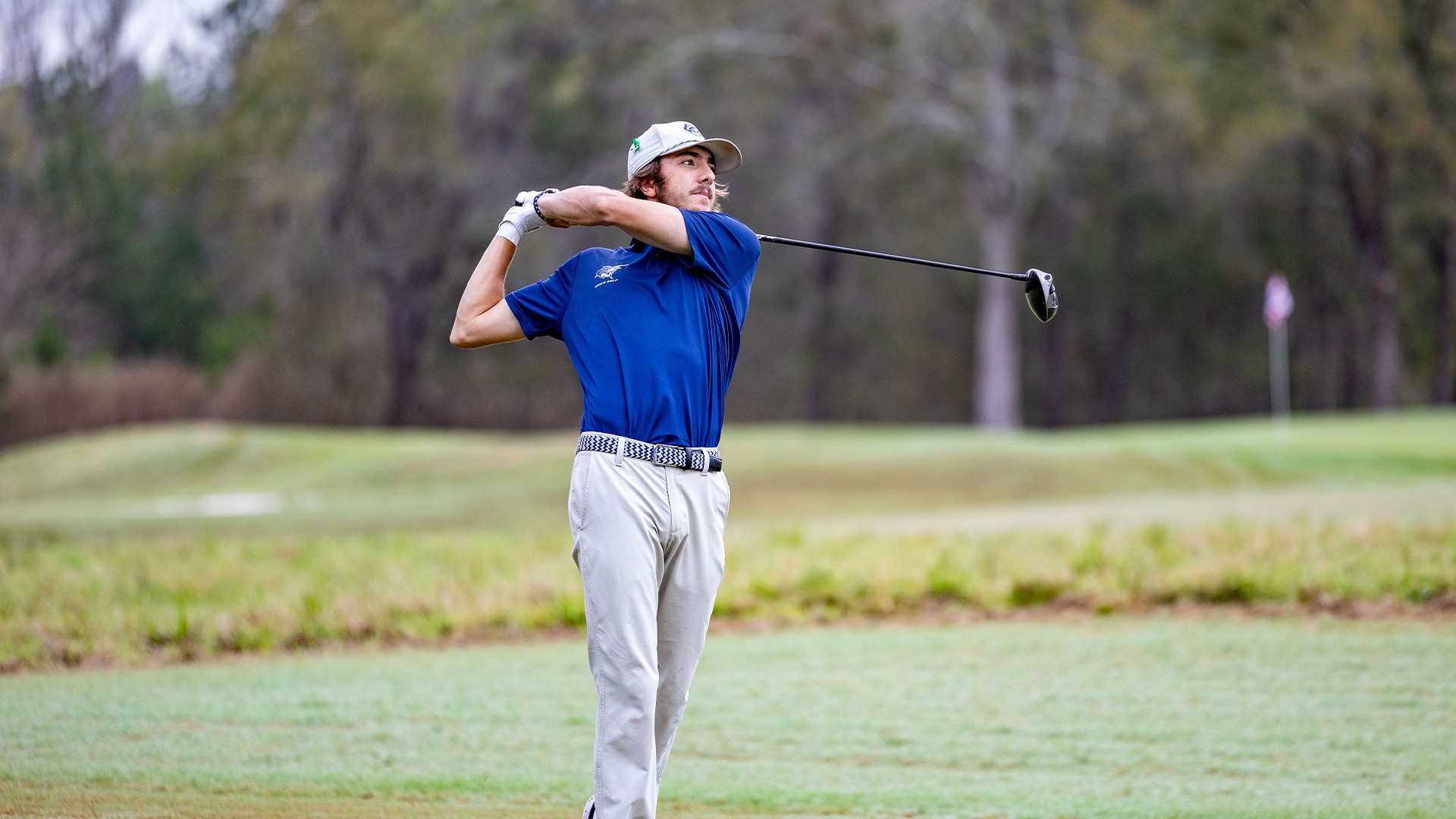 Cole Gillis Spring 2026