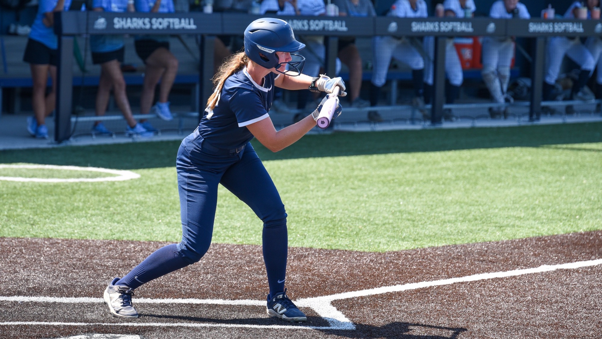 Holly Frankl vs NSU 2026