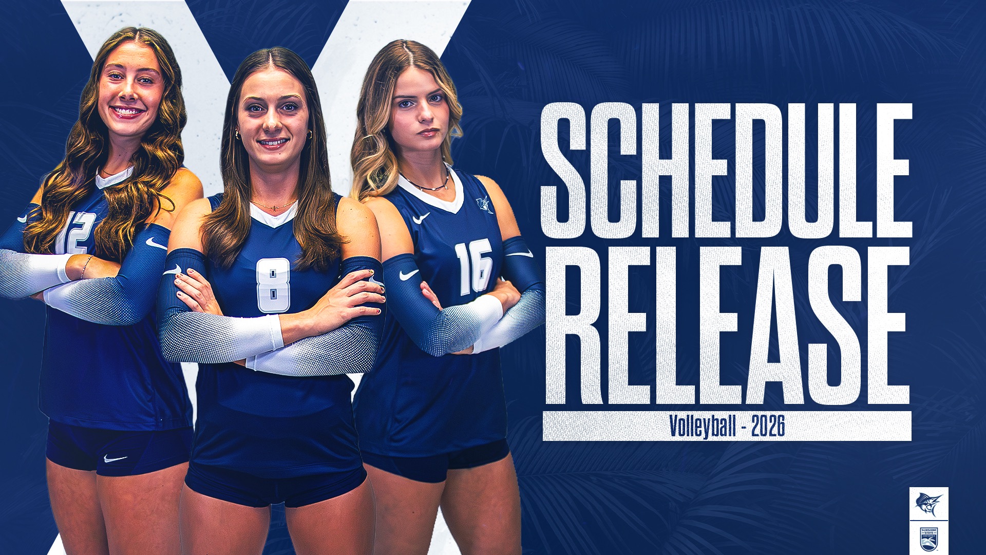 Volleyball Schedule Release Graphic