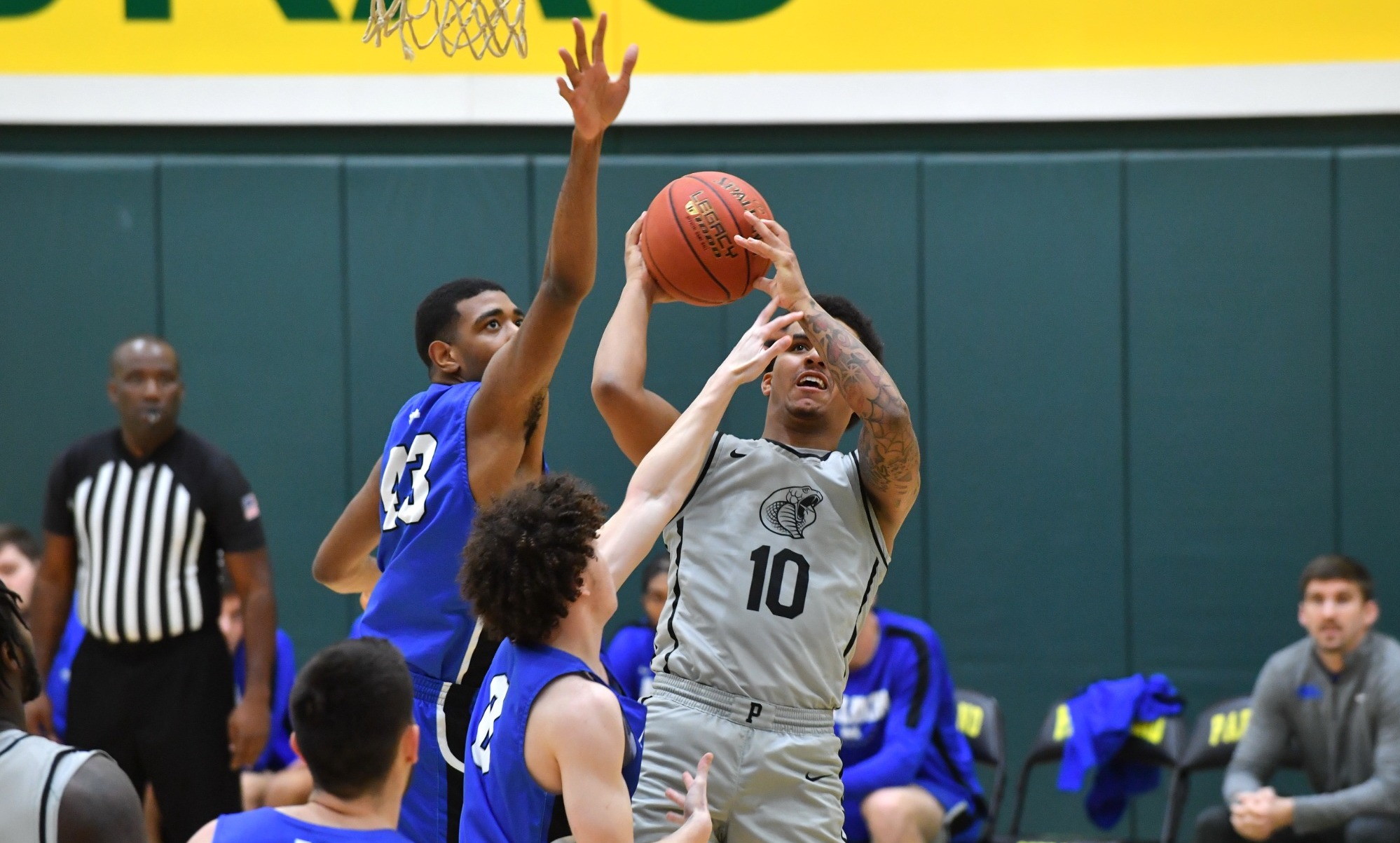 Brylan Phillips - Men's Basketball - Parkland College Athletics