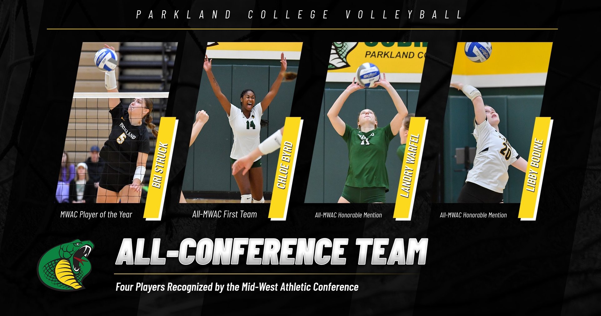 Four Parkland Volleyball Players Named to AllConference Team