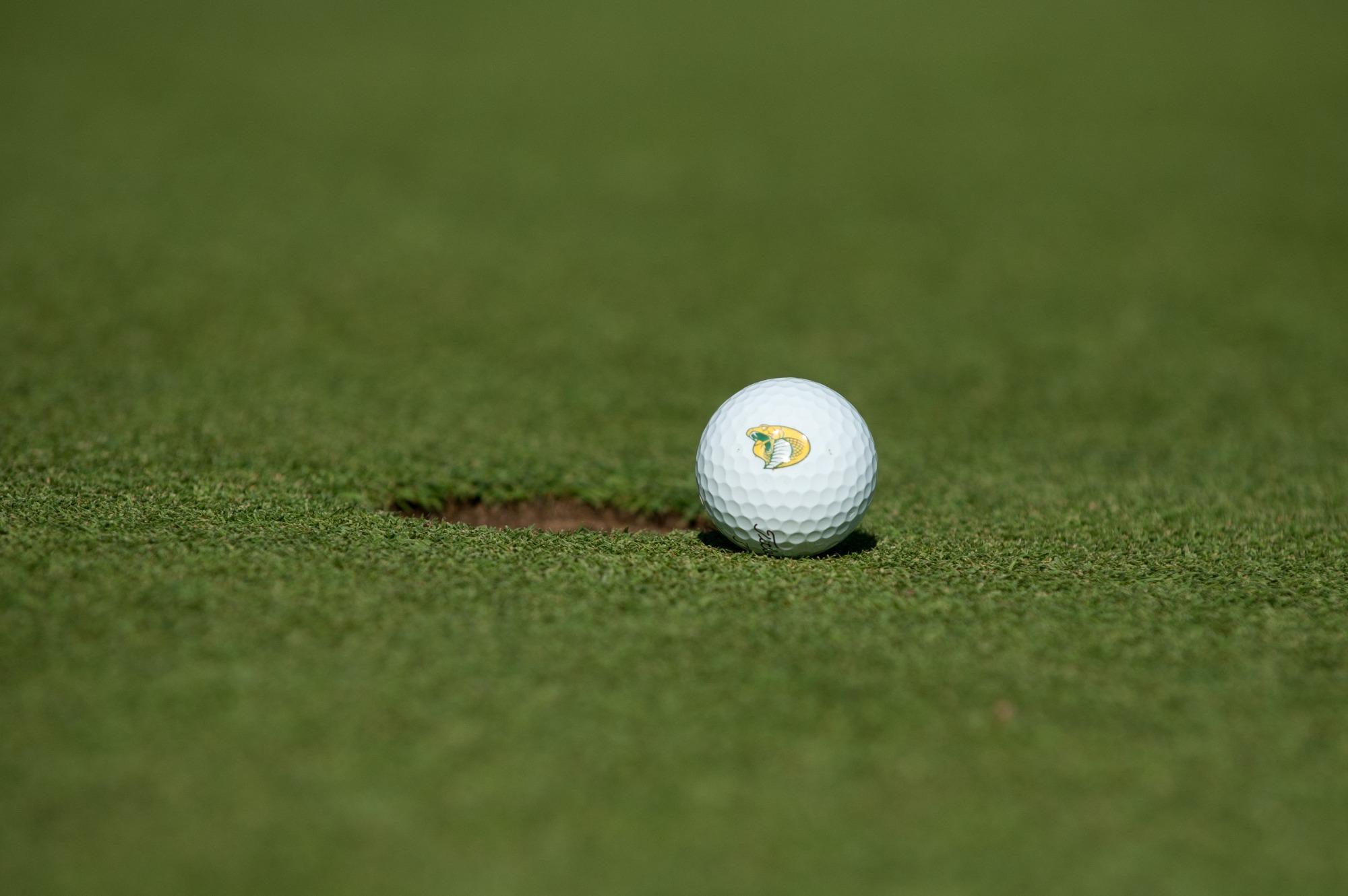 Golf ball