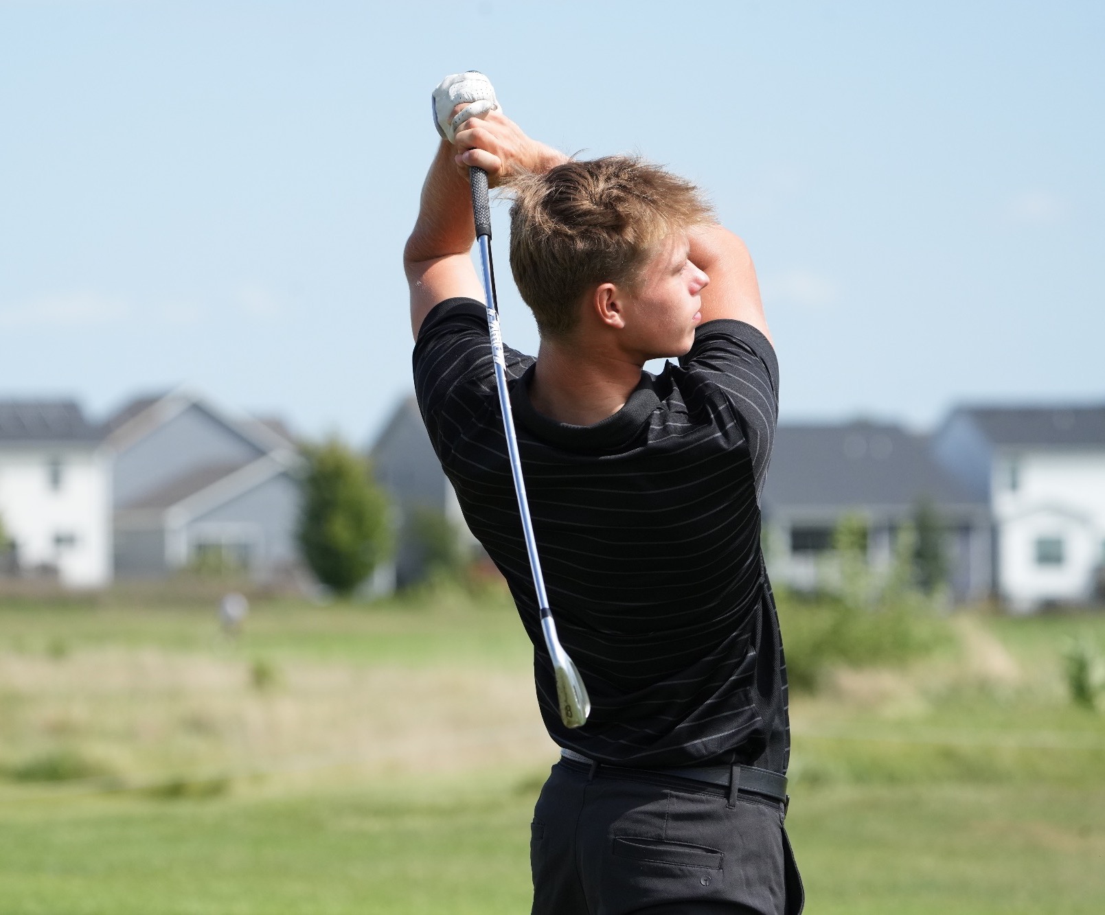 Cobras Golf