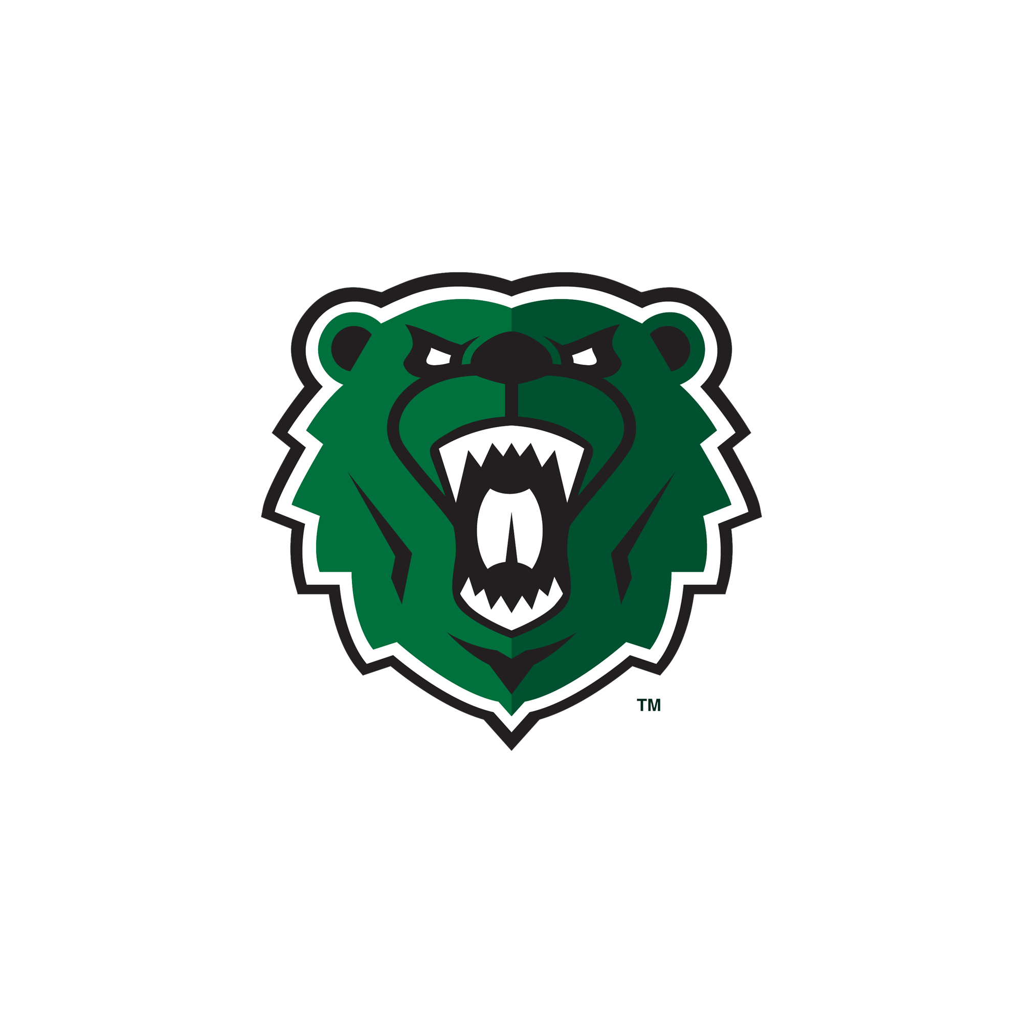 Secondary logo