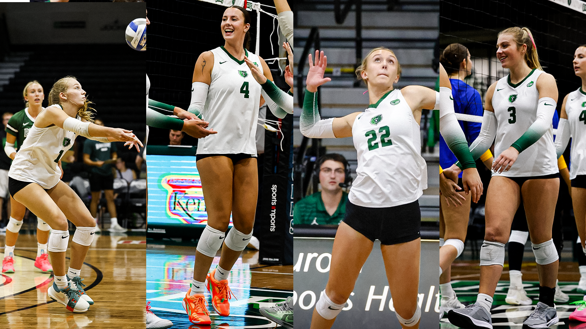 Volleyball Postseason Award Winner