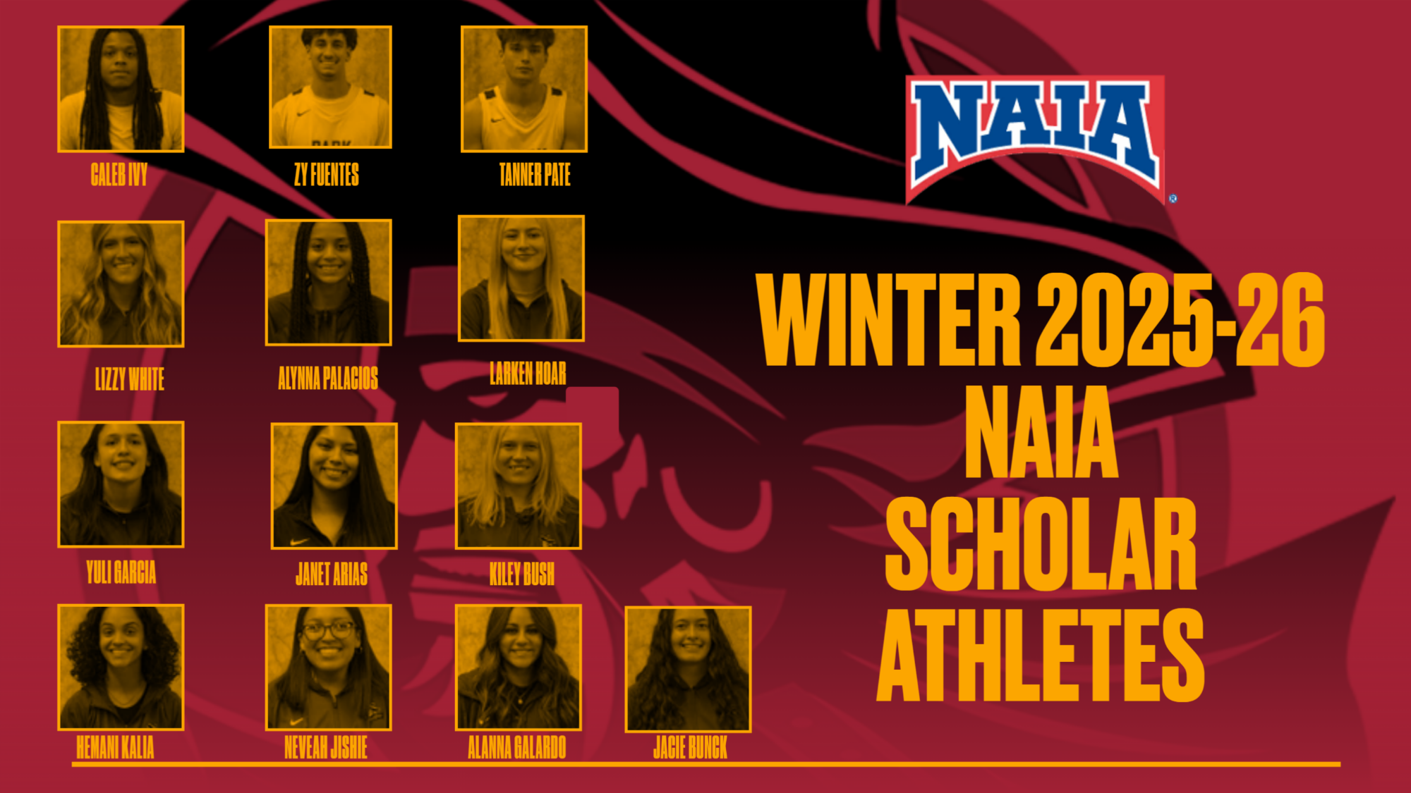 Scholar Athlete Banner 