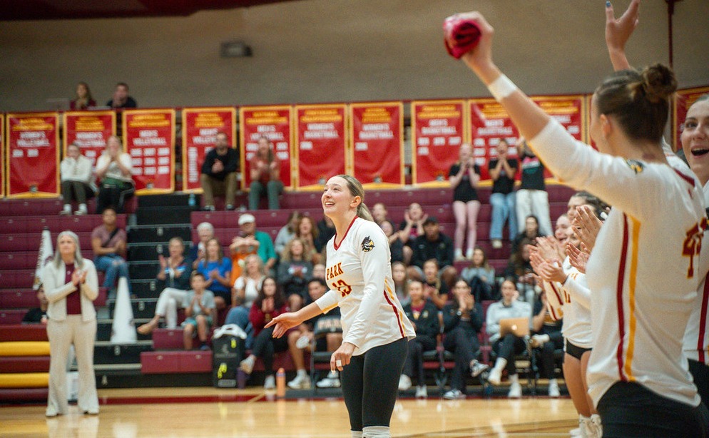 action vb