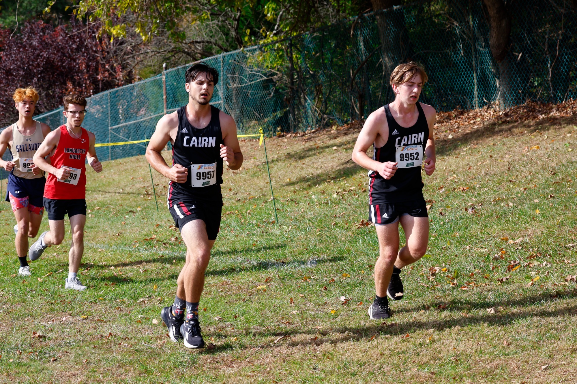 Stange/Adler try XC