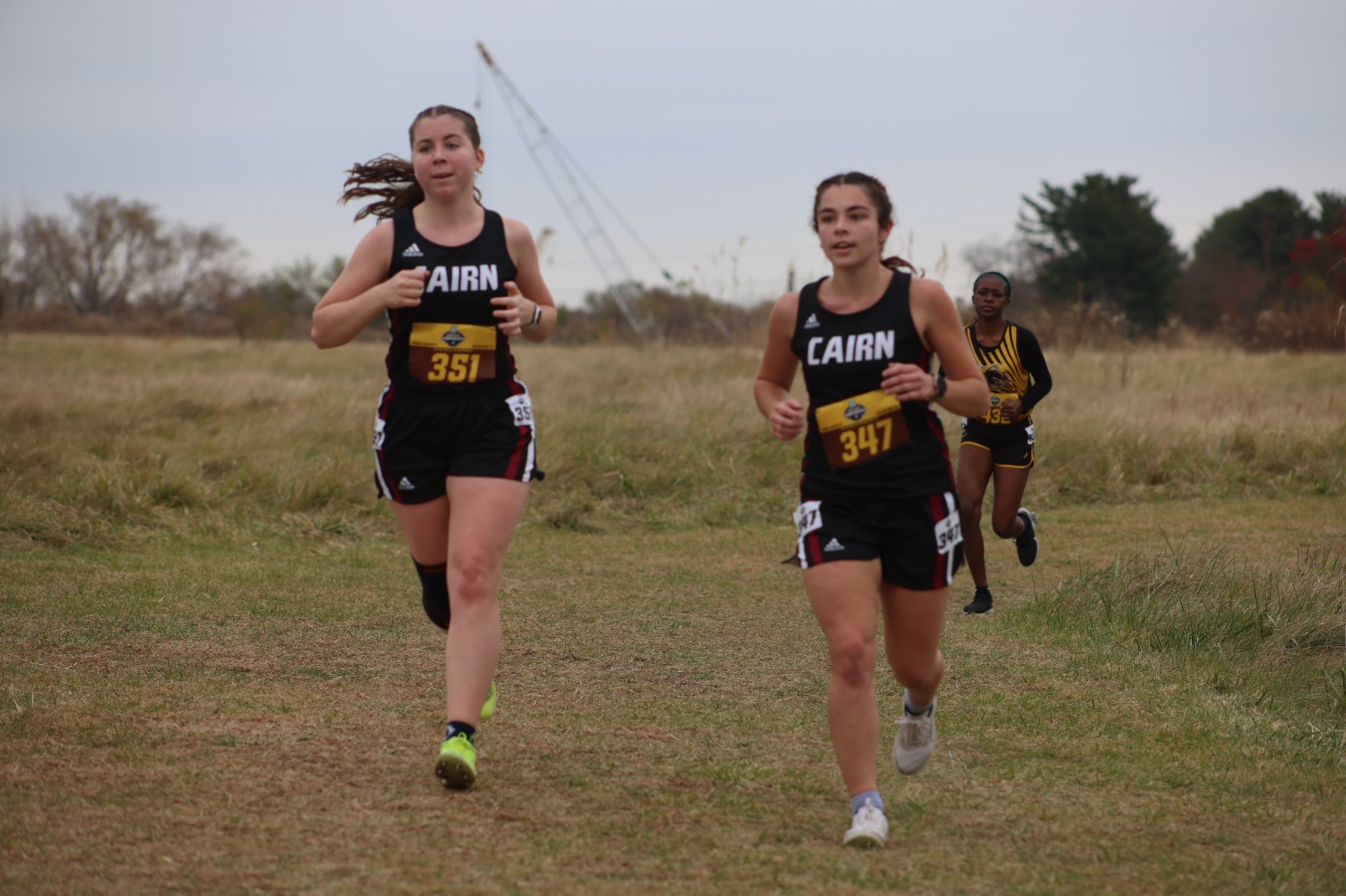 Side by Side WXC