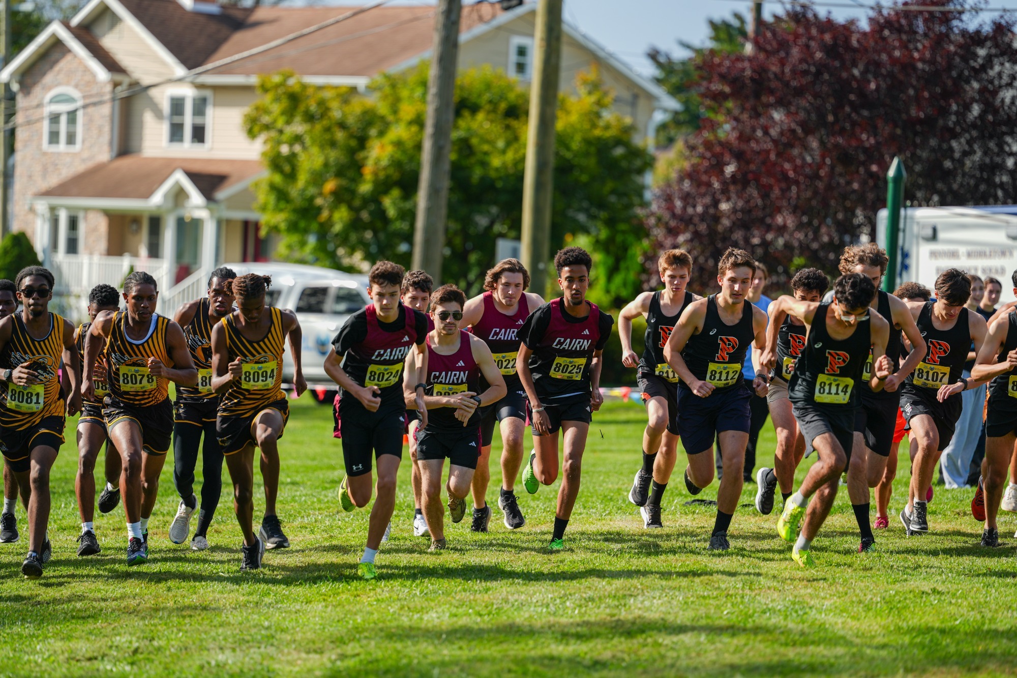 Starting line of XC race