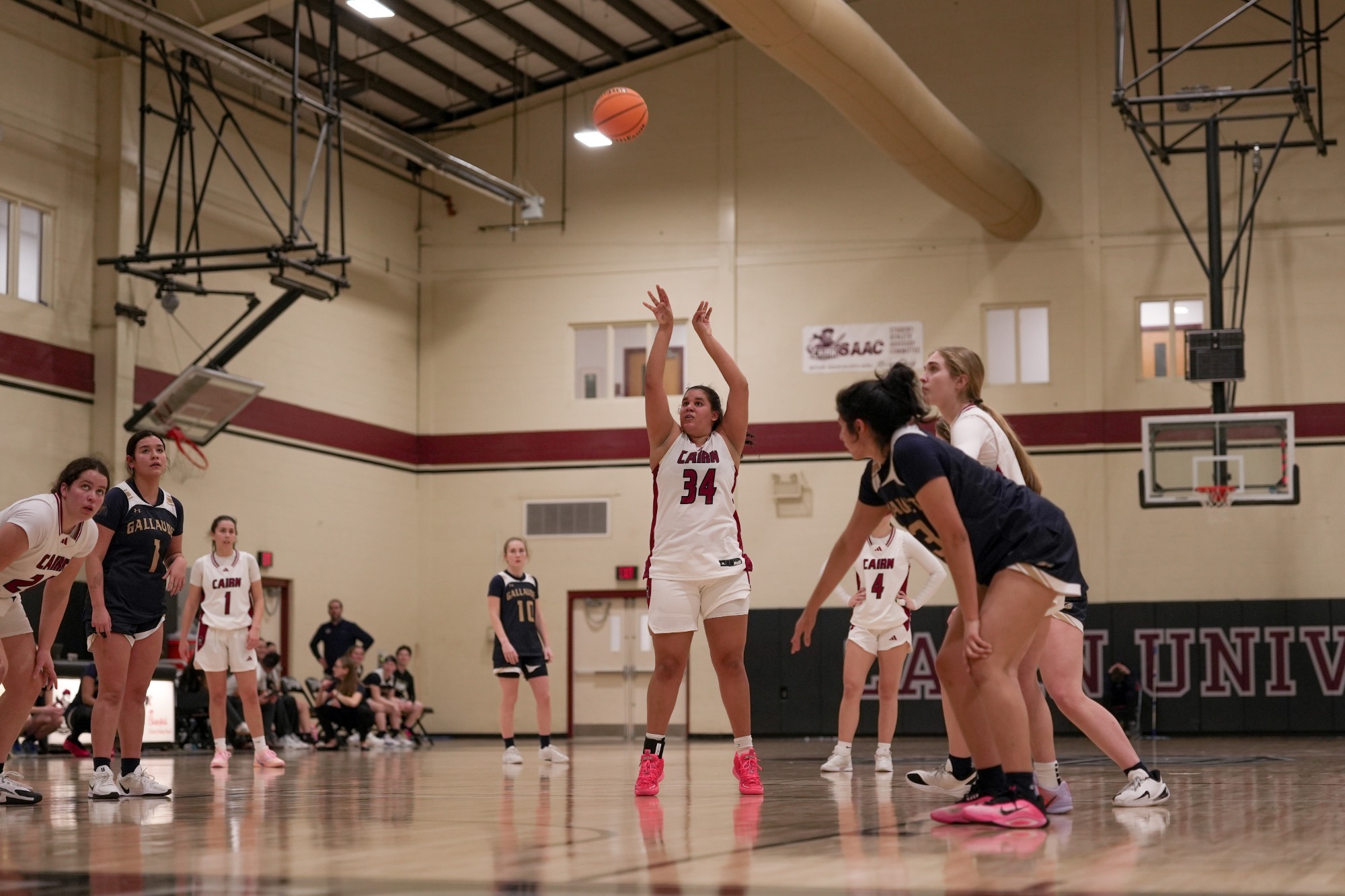 Dezary Bright Sinks FT