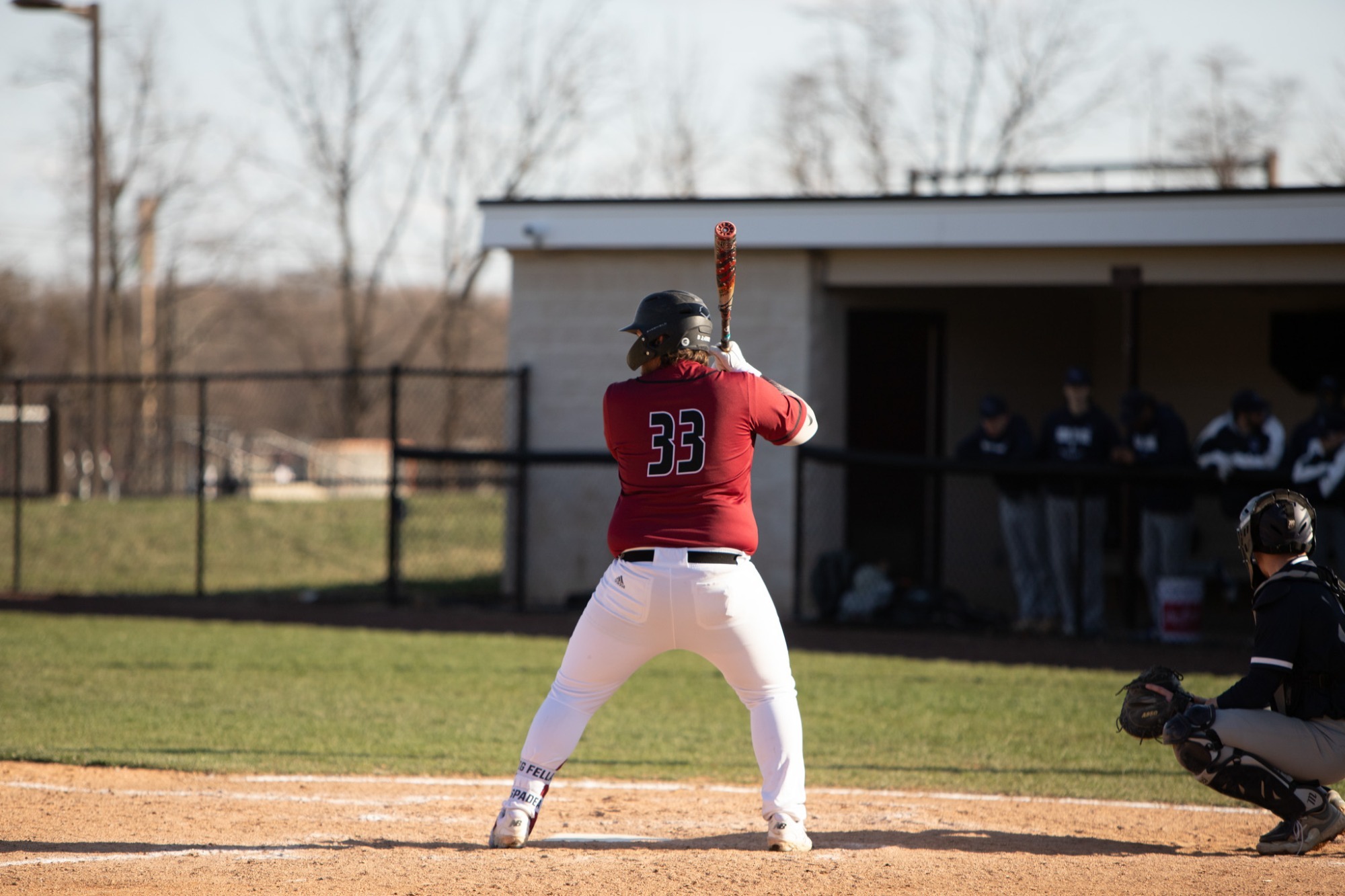 Spadea Digs into the box