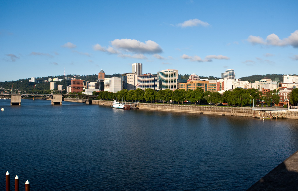 Waterfront Skyline