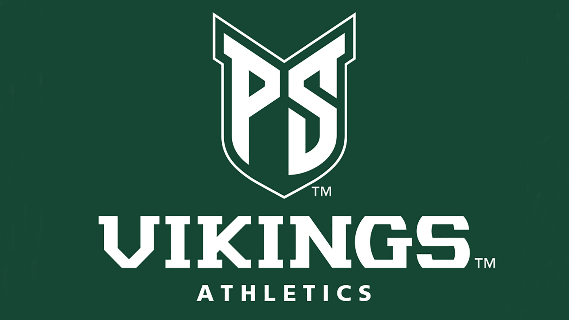 Viking logo