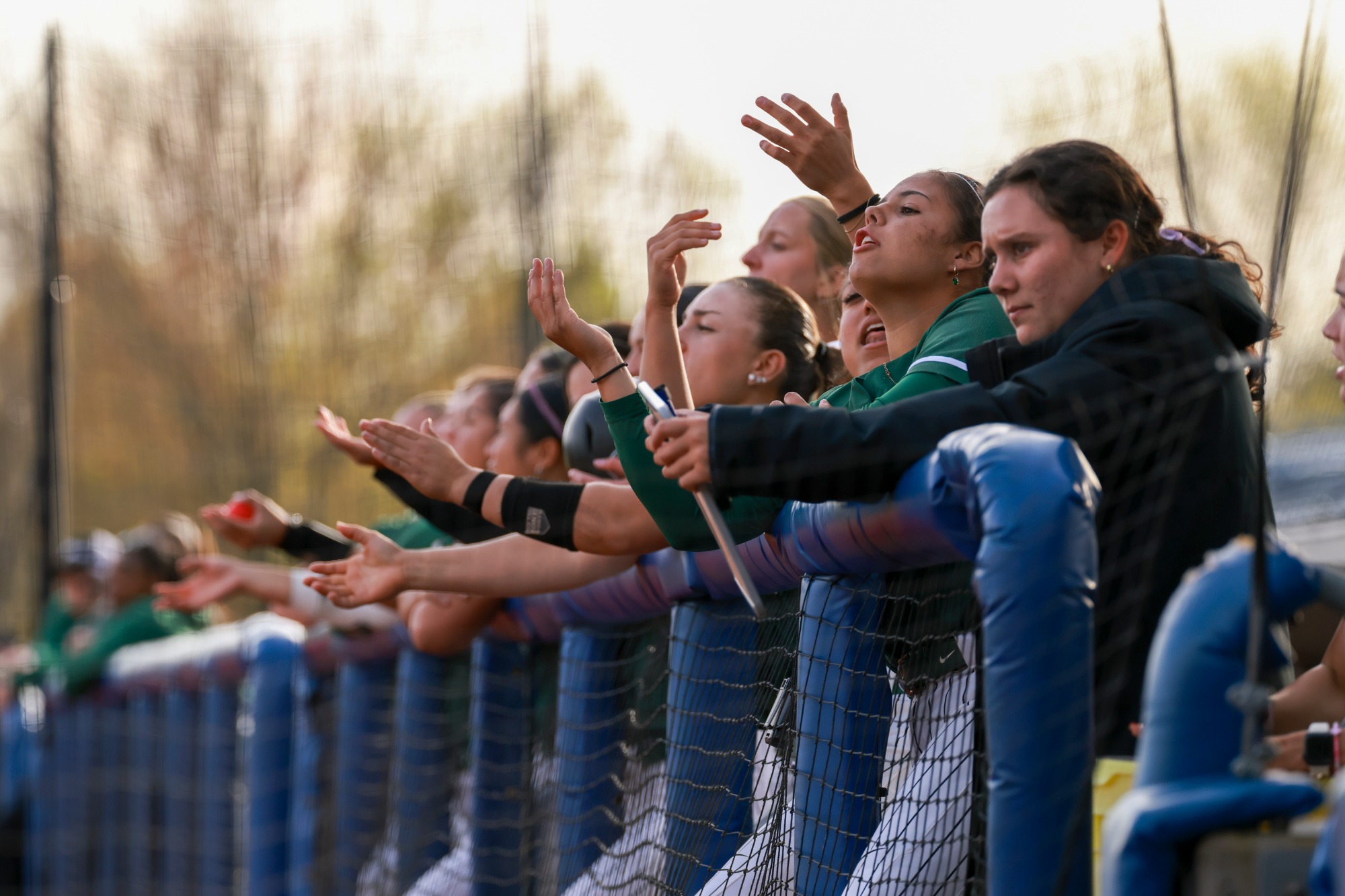 Sierra LlamasPortland State Softball vs Northern Colorado : 04/17/2026