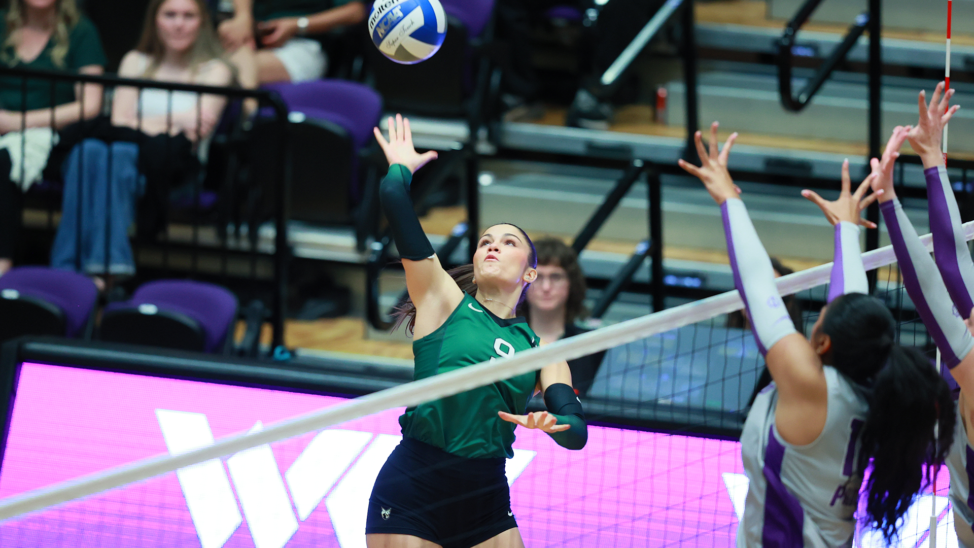 Portland State volleyball player Magdalena Ranitovic hits a ball over the net against the University of Portland.