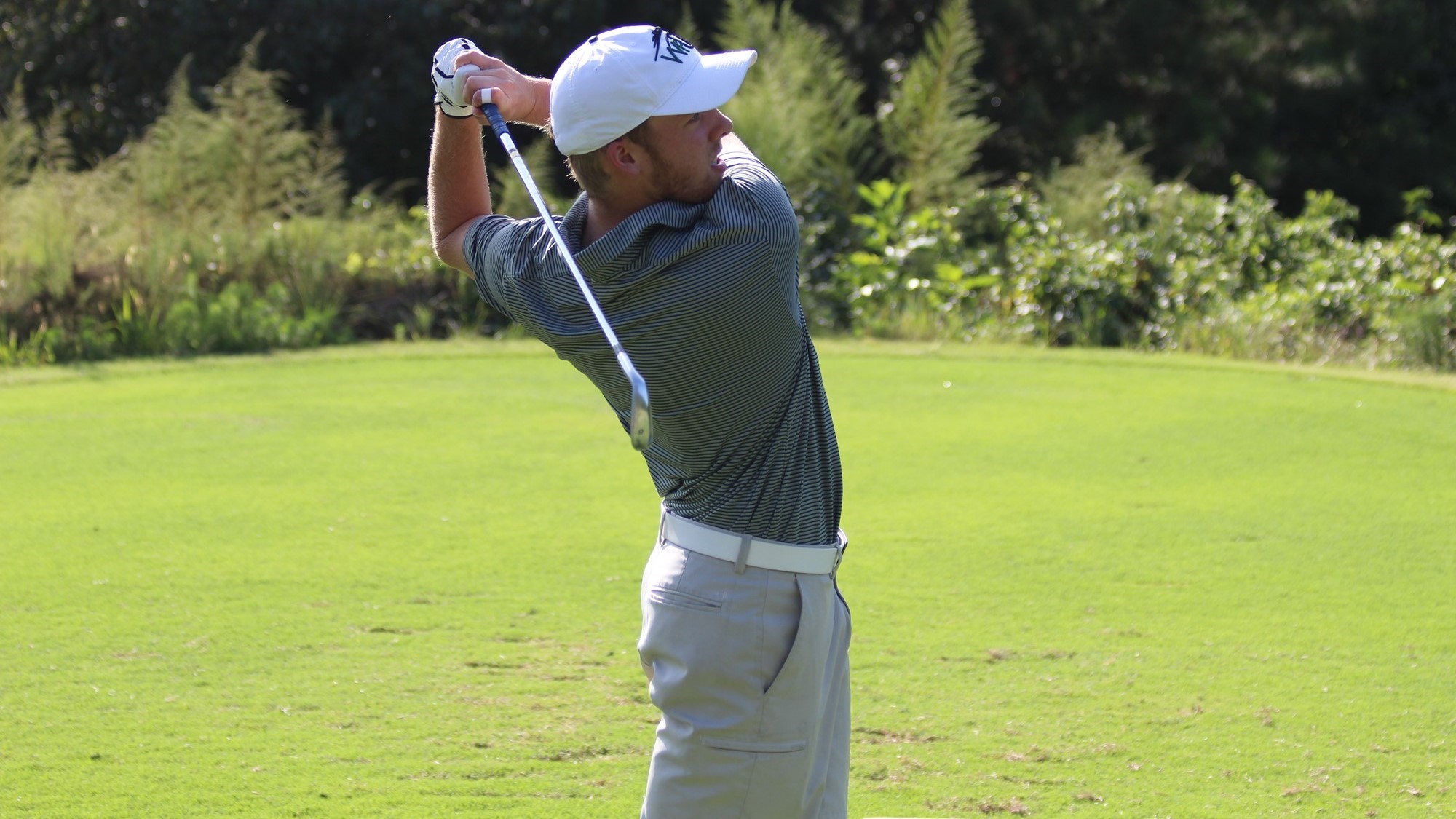 Cody McDaniel Swings