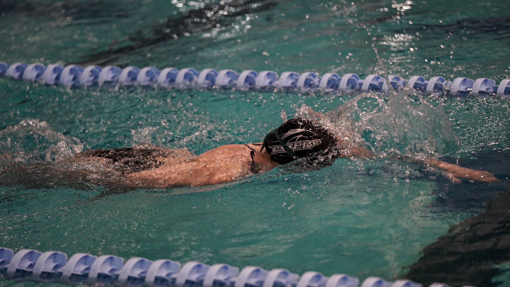 Women's Swimming Stock Photo 2024 Senior Day