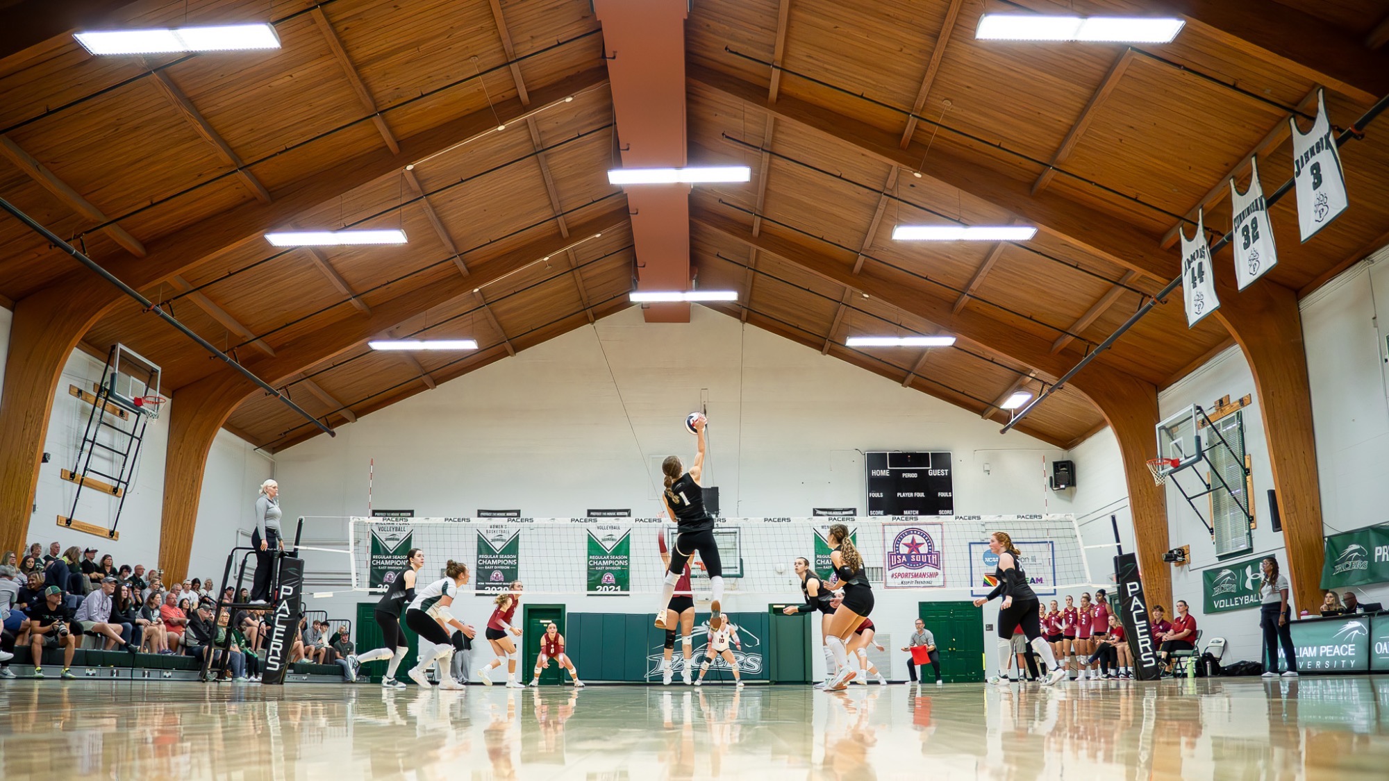 vb action shot