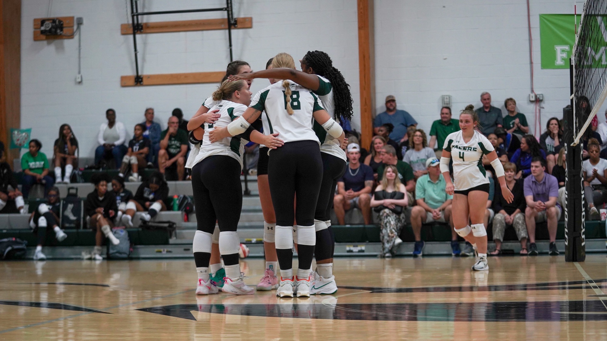 pacer vb