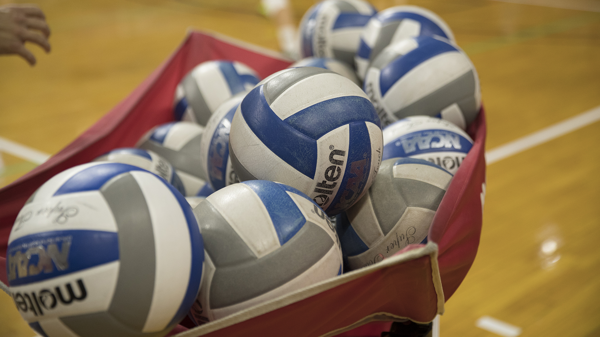 Remainder of Penn Volleyball Season Cancelled University of Pennsylvania Athletics