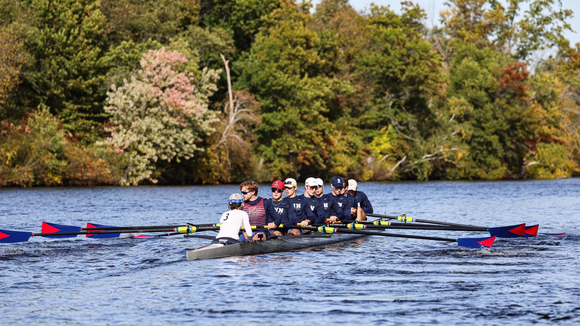 HOCR Prev