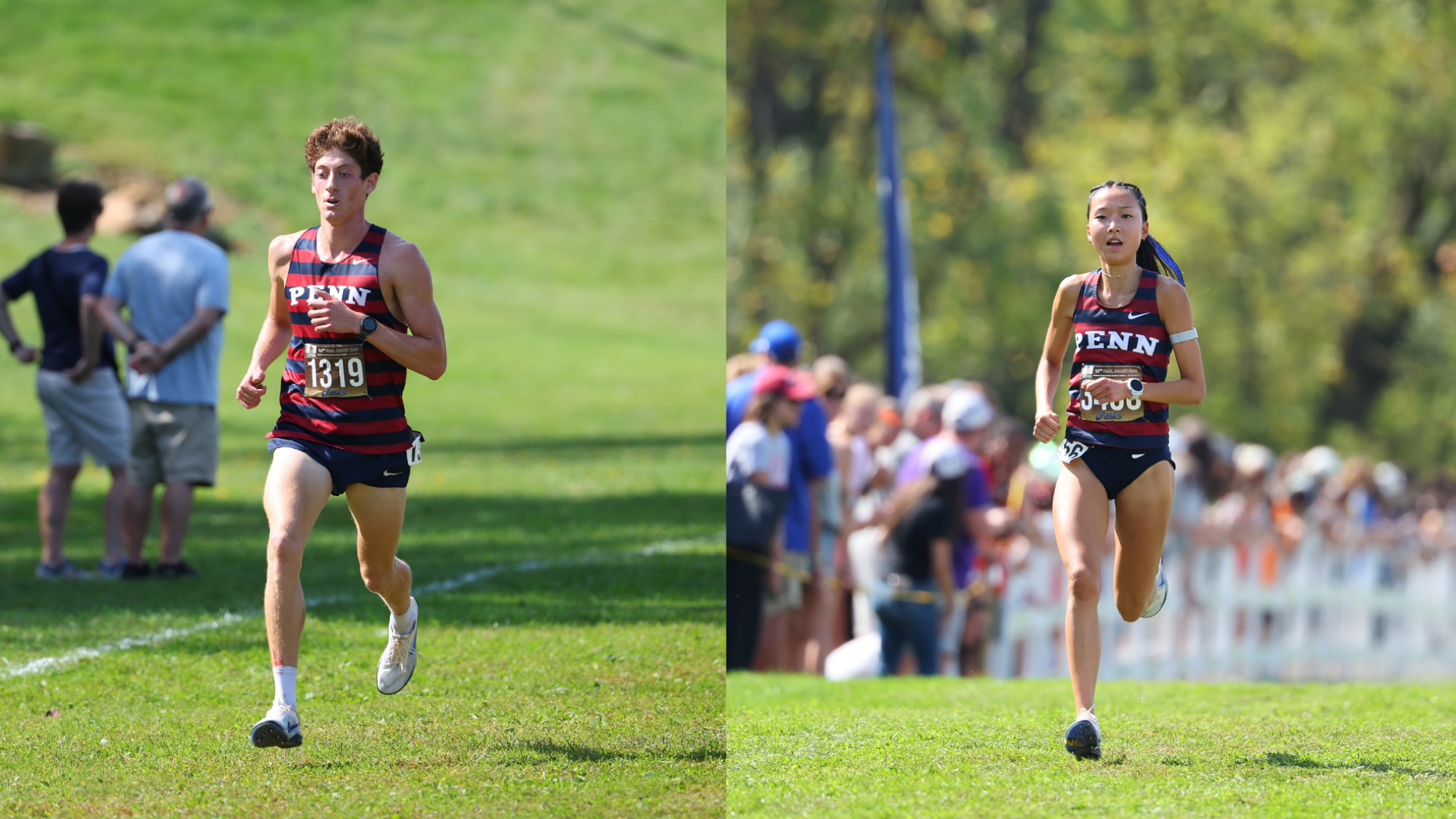 Mazzeo & Lee Ivy Honors