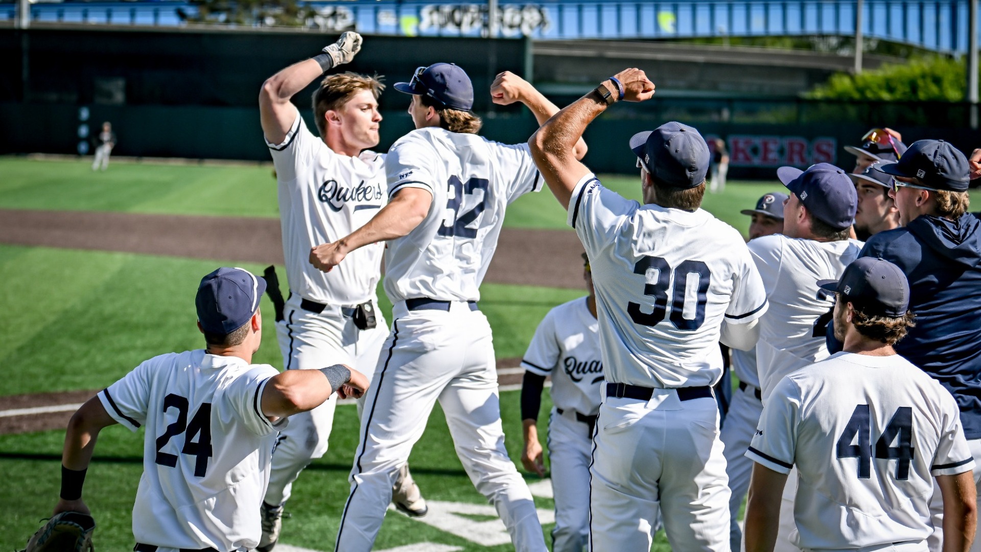 BASEBALL WEB