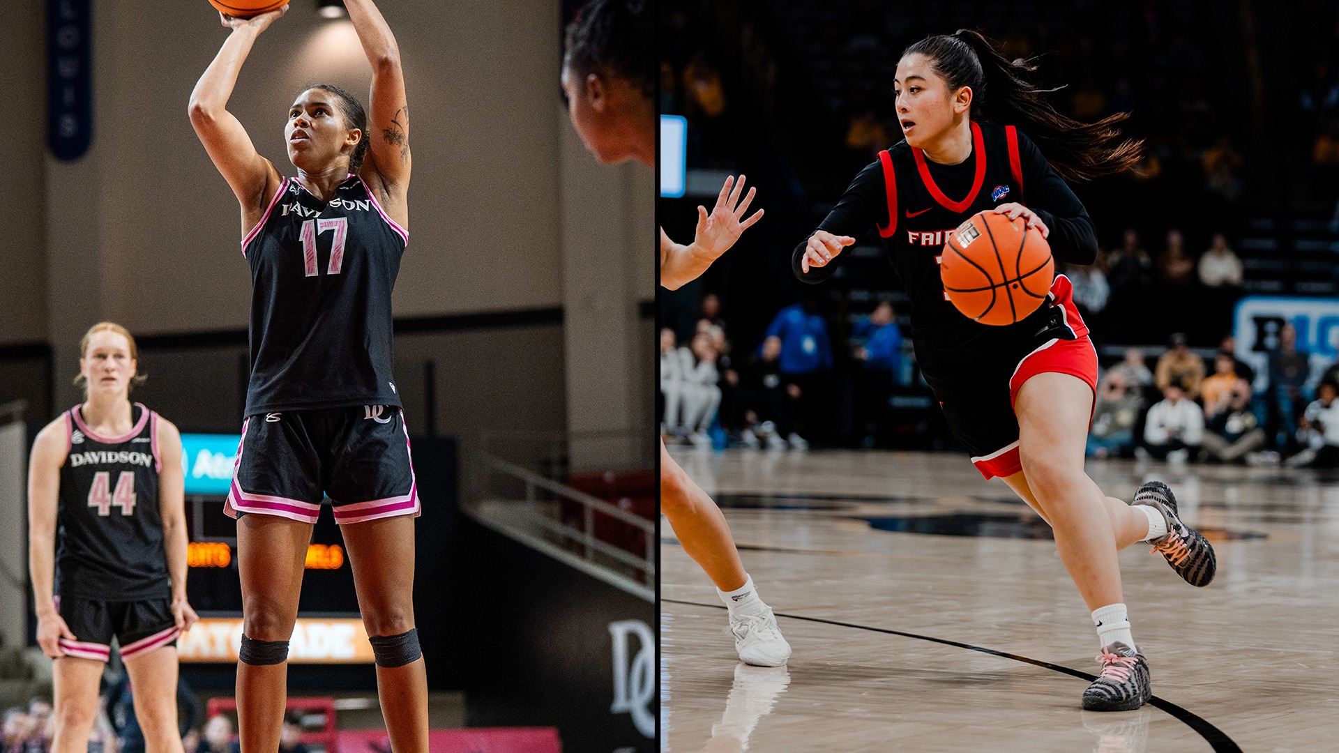 WBB WEB