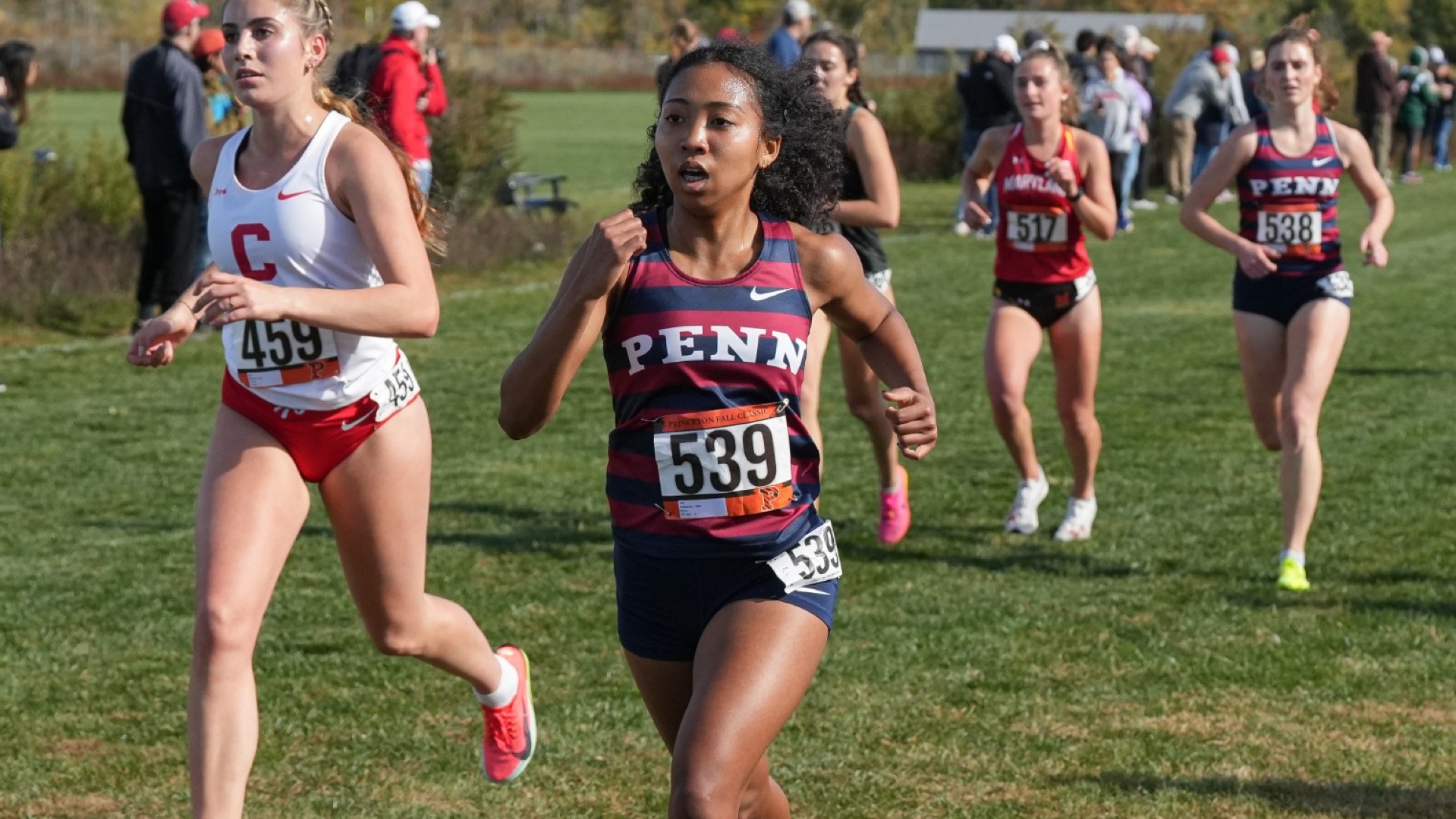 Edwards XC