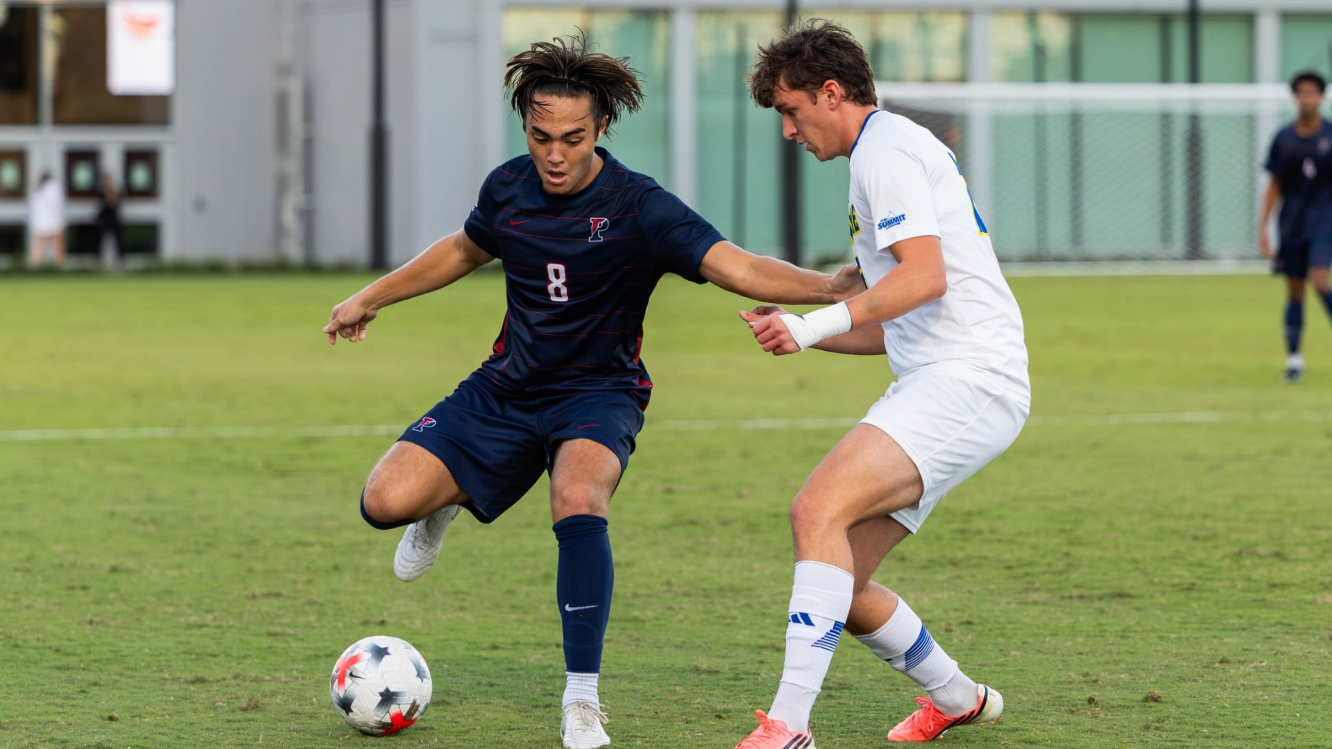 MSOC WEB