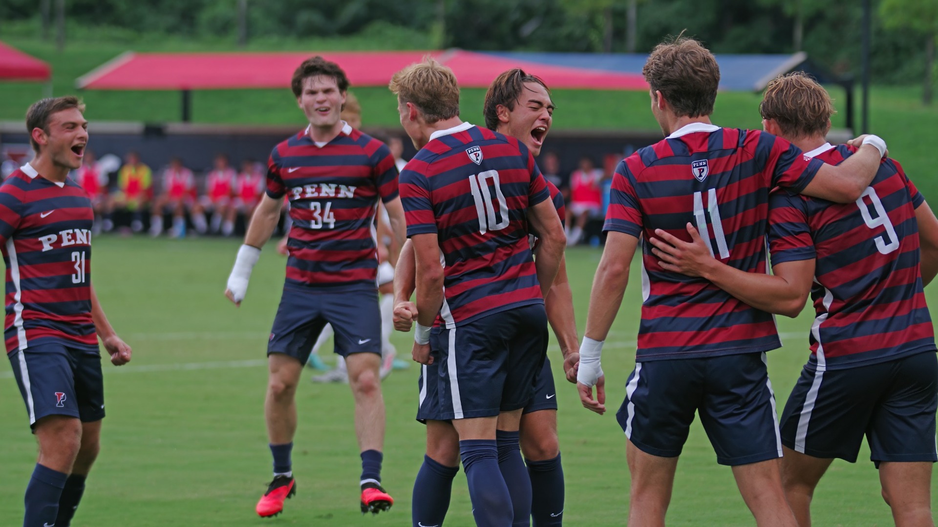 MSOC WEB