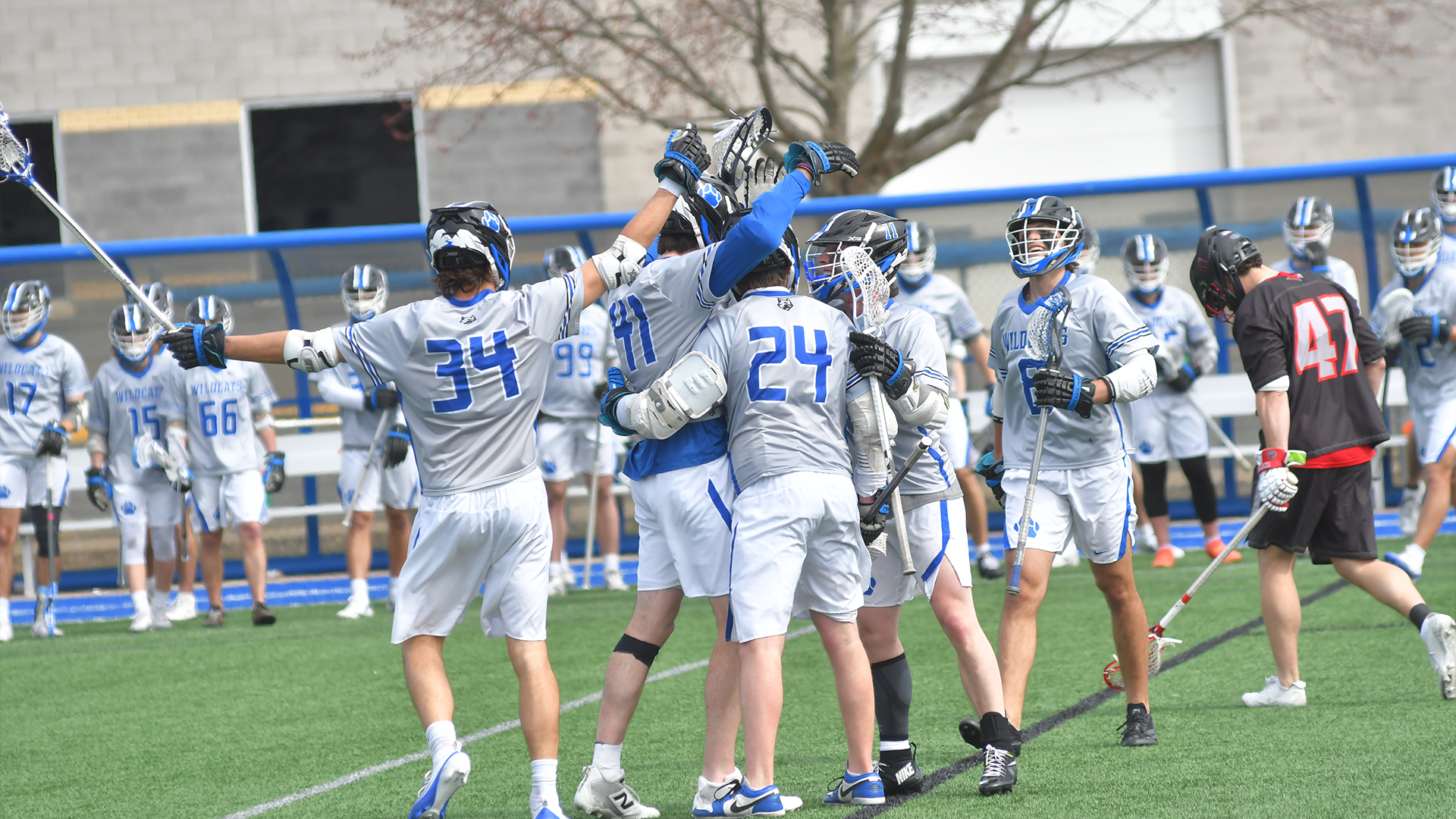 Penn College lacrosse team celebrating during a game 