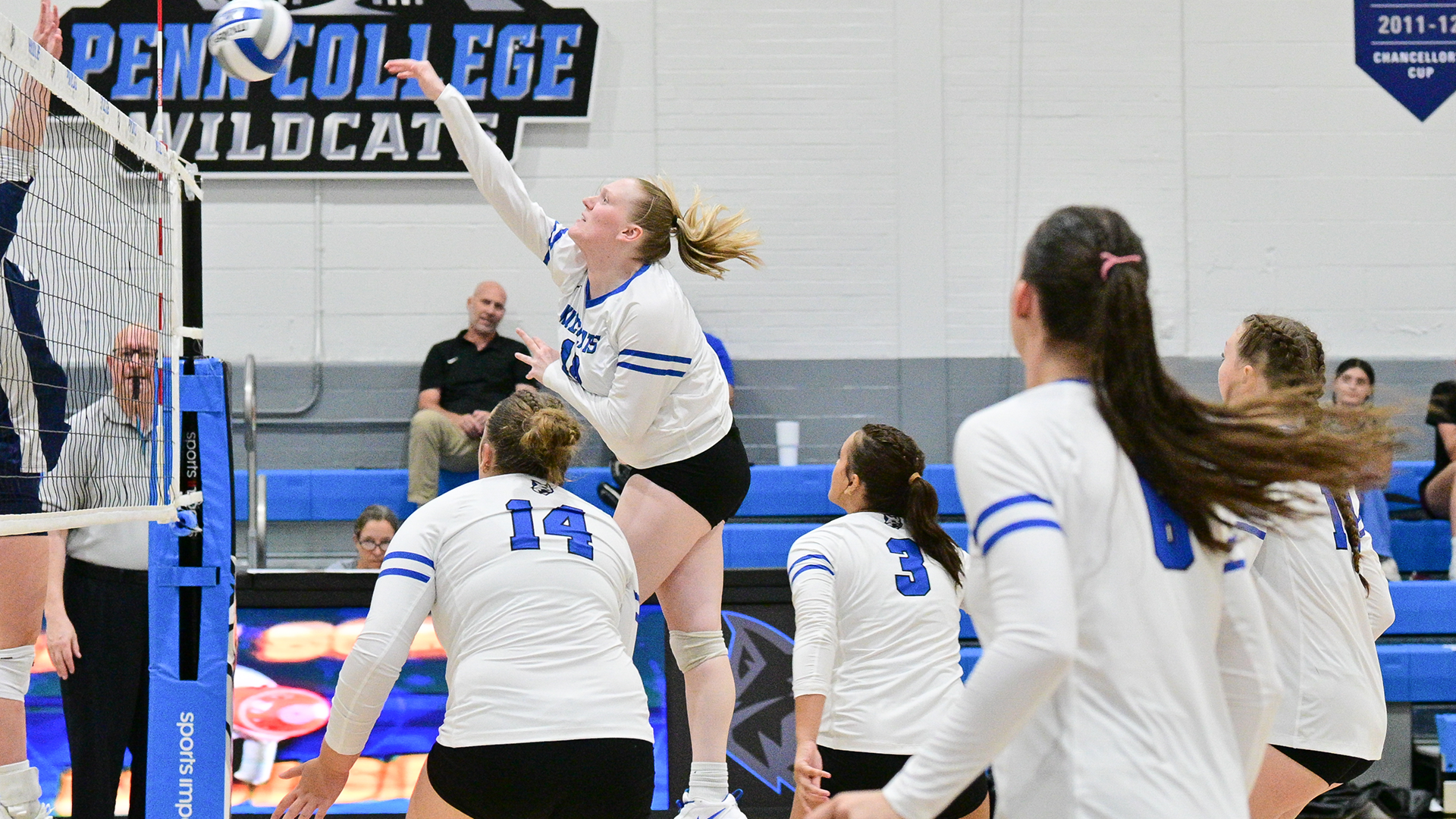 Penn College women's volleyball player during a match against Penn State Altoona