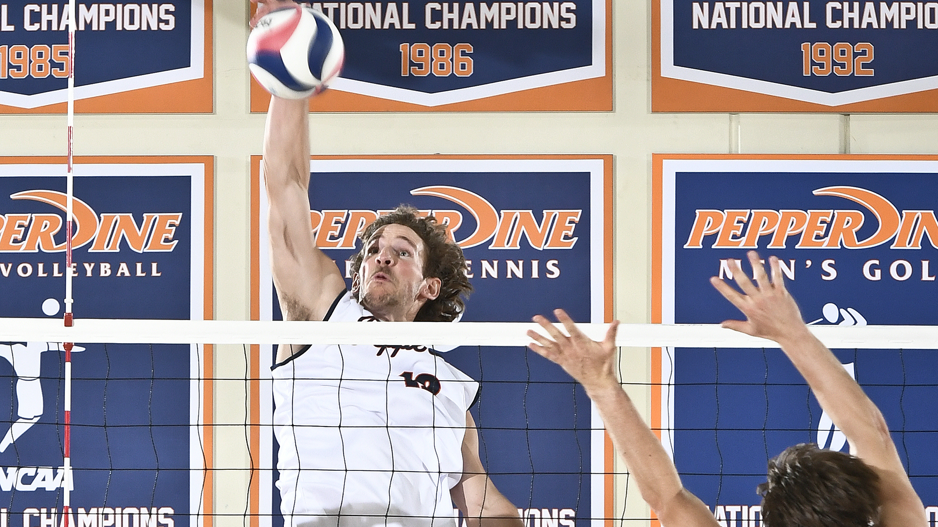 Jacob Steele Men's Volleyball Pepperdine University Athletics