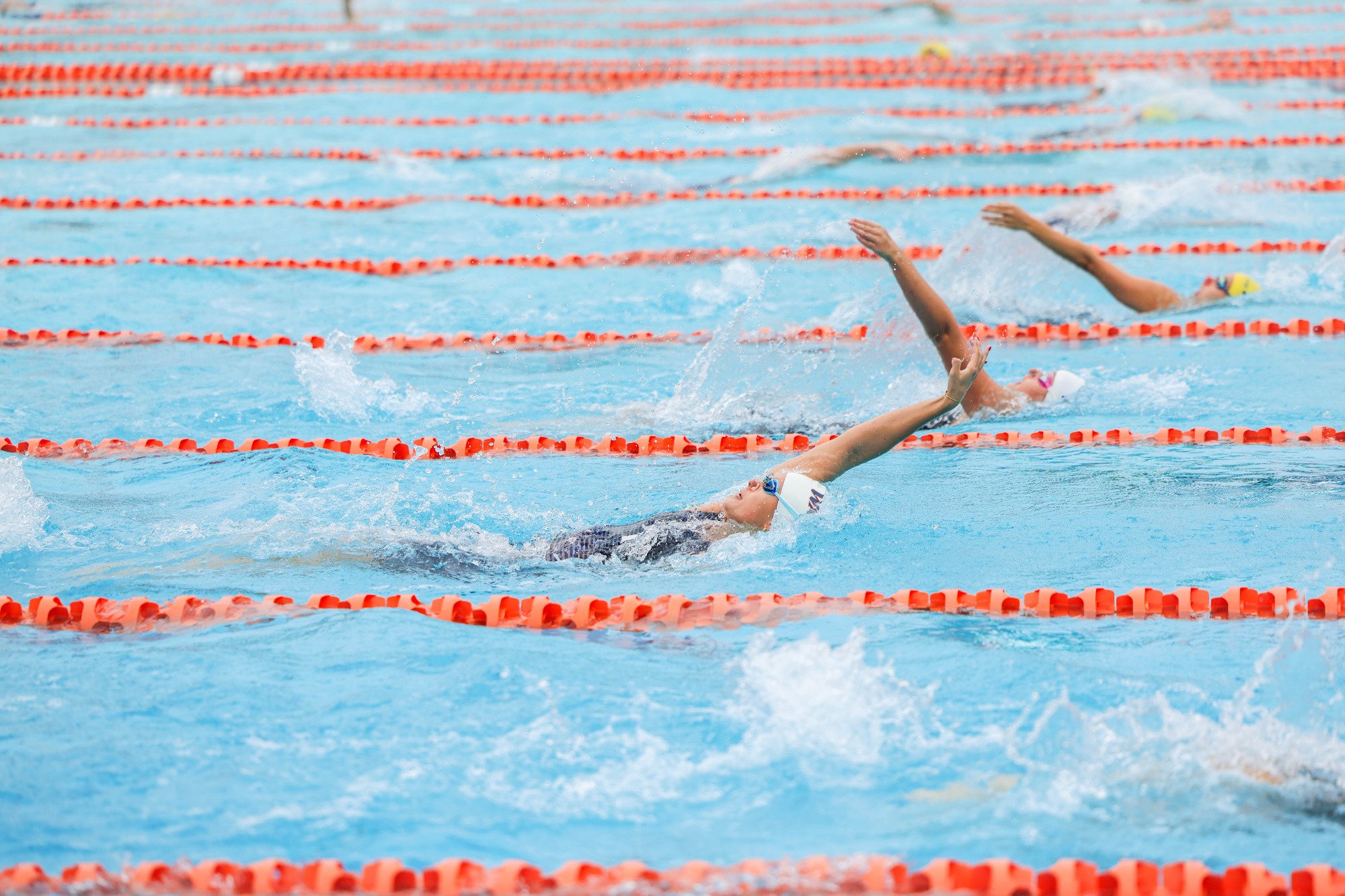 mia pleasant tri meet