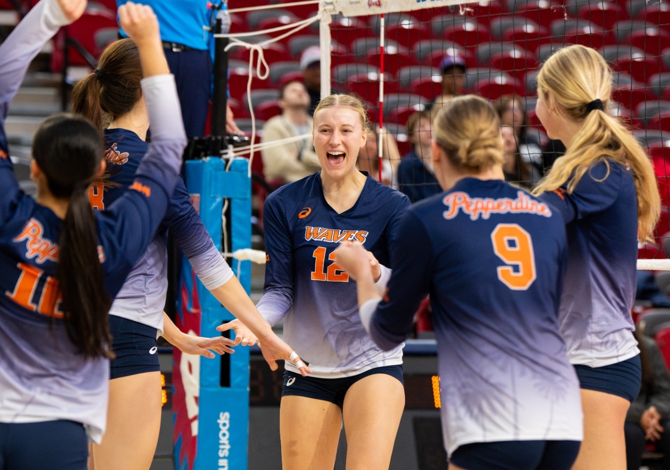 Volleyball Celebration