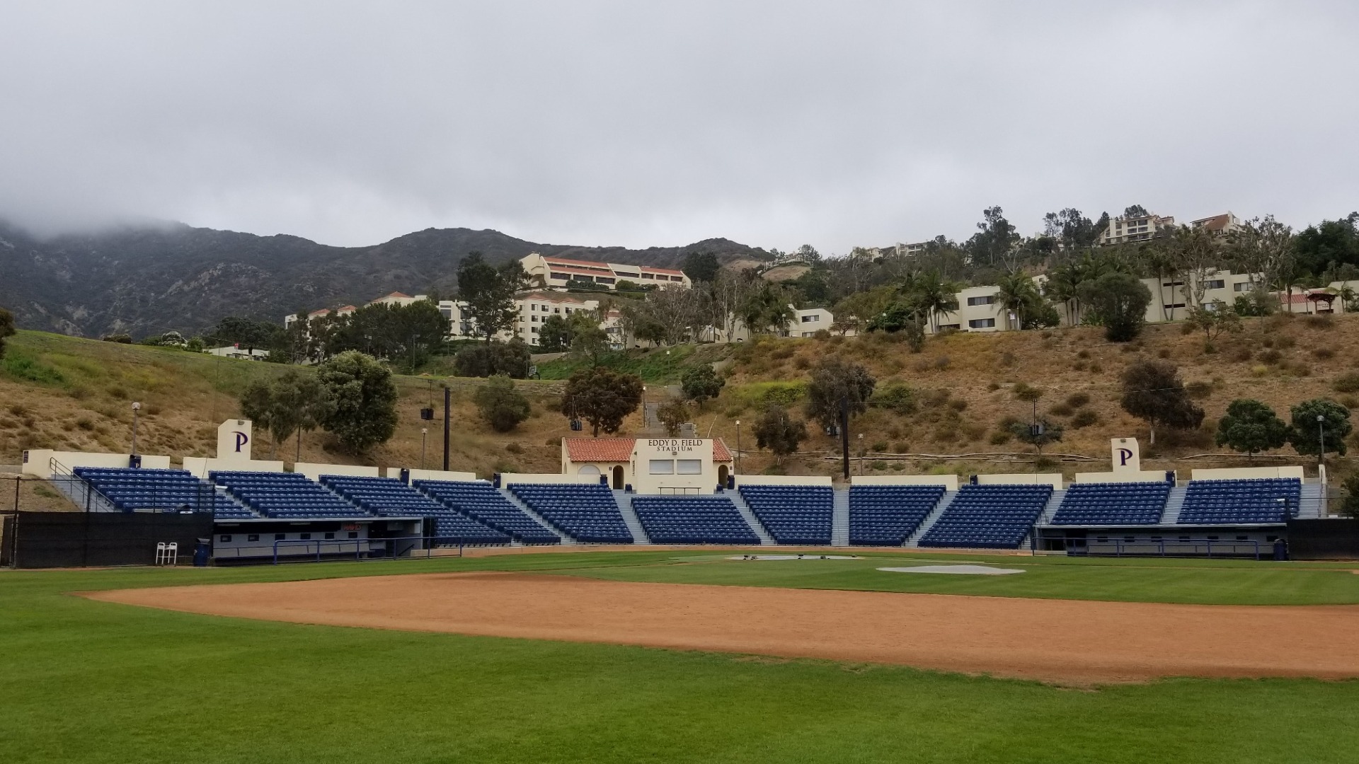 Eddy d field stadium