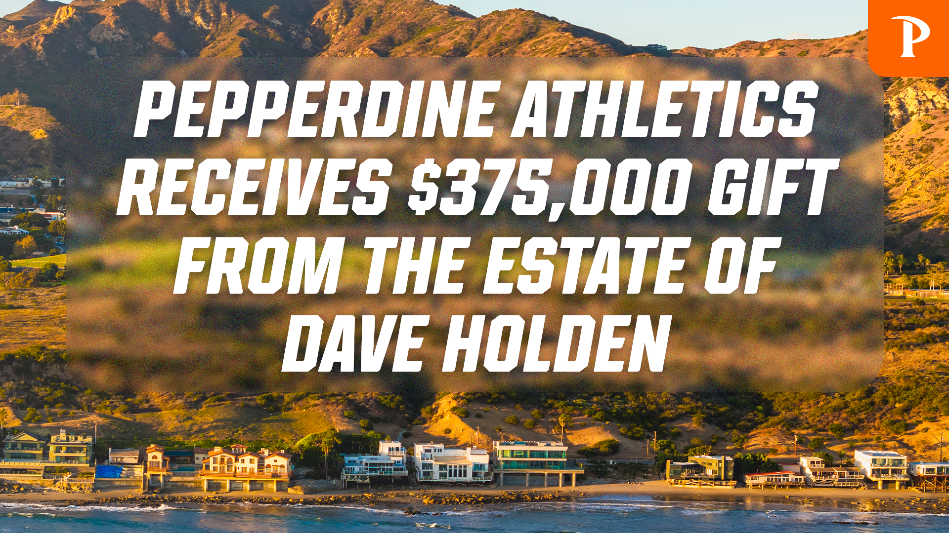 Dave Holden Endowment